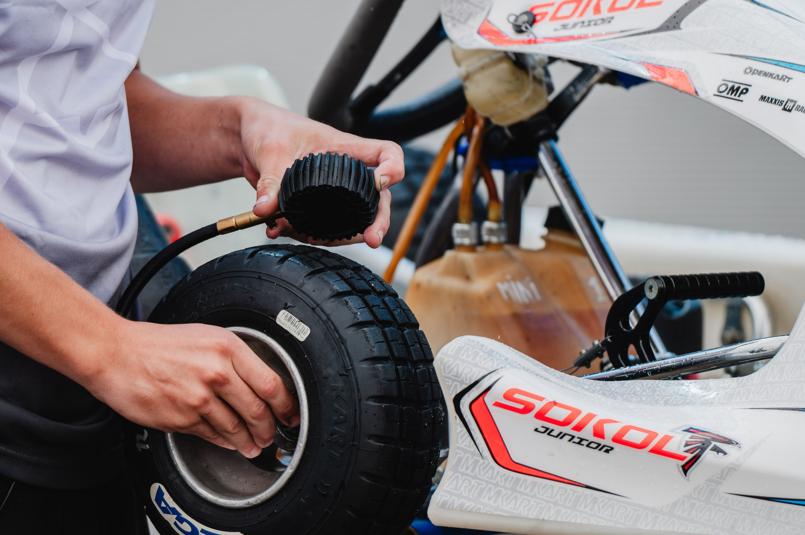 Съёмка команды. Sokol Racing Junior. Rotax Max Russia. Елена Чеснокова спортивный фотограф во Владимире и Белграде