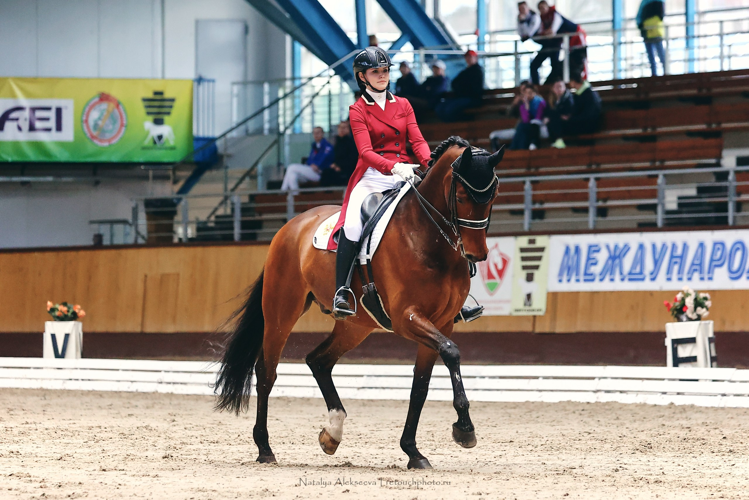 Этап Кубка Евразии по выездке, Минск | 04'2023. Репортажный фотограф и ретушер в Москве Наталья Алексеева