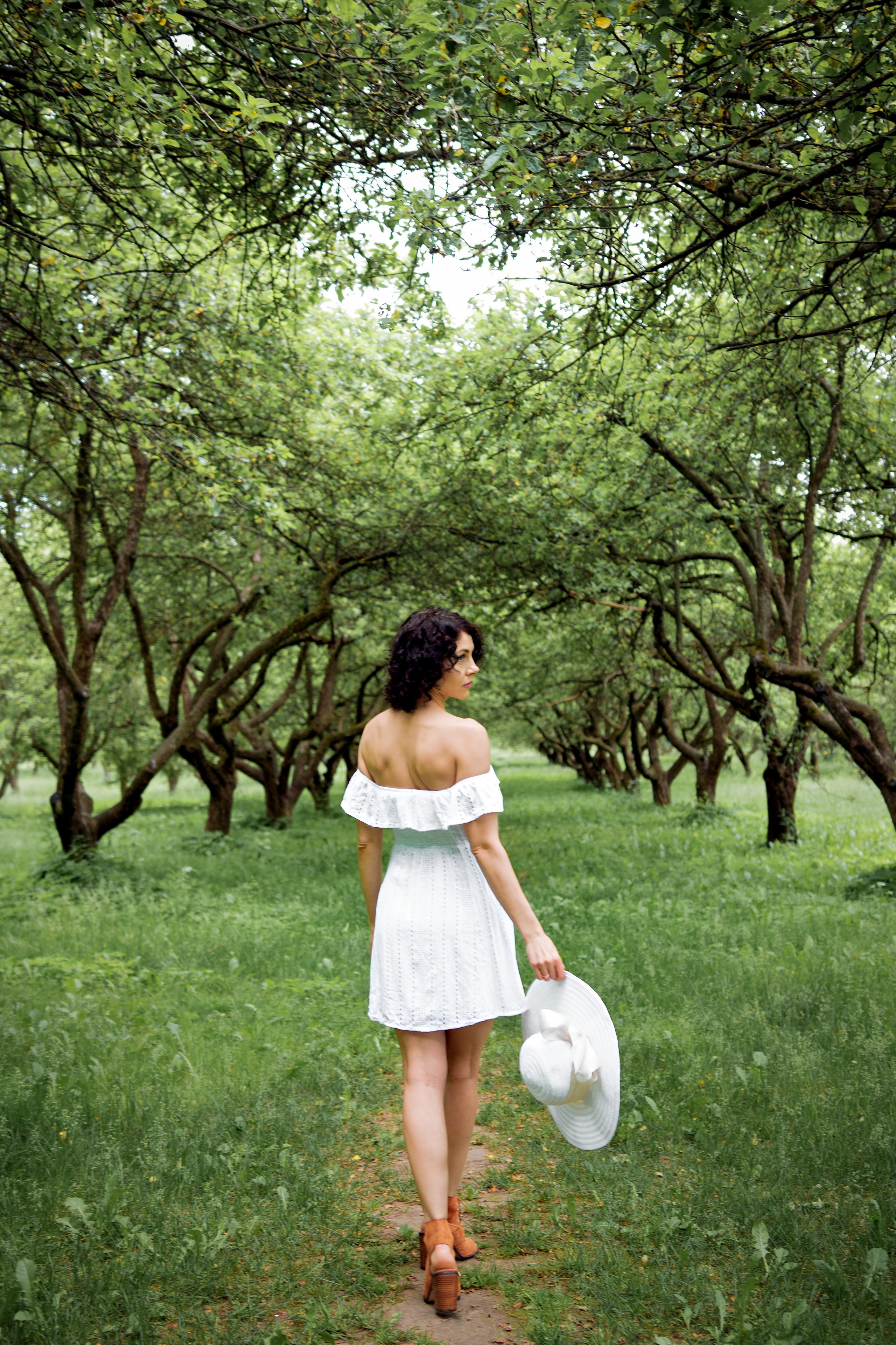 Зелёная симфония