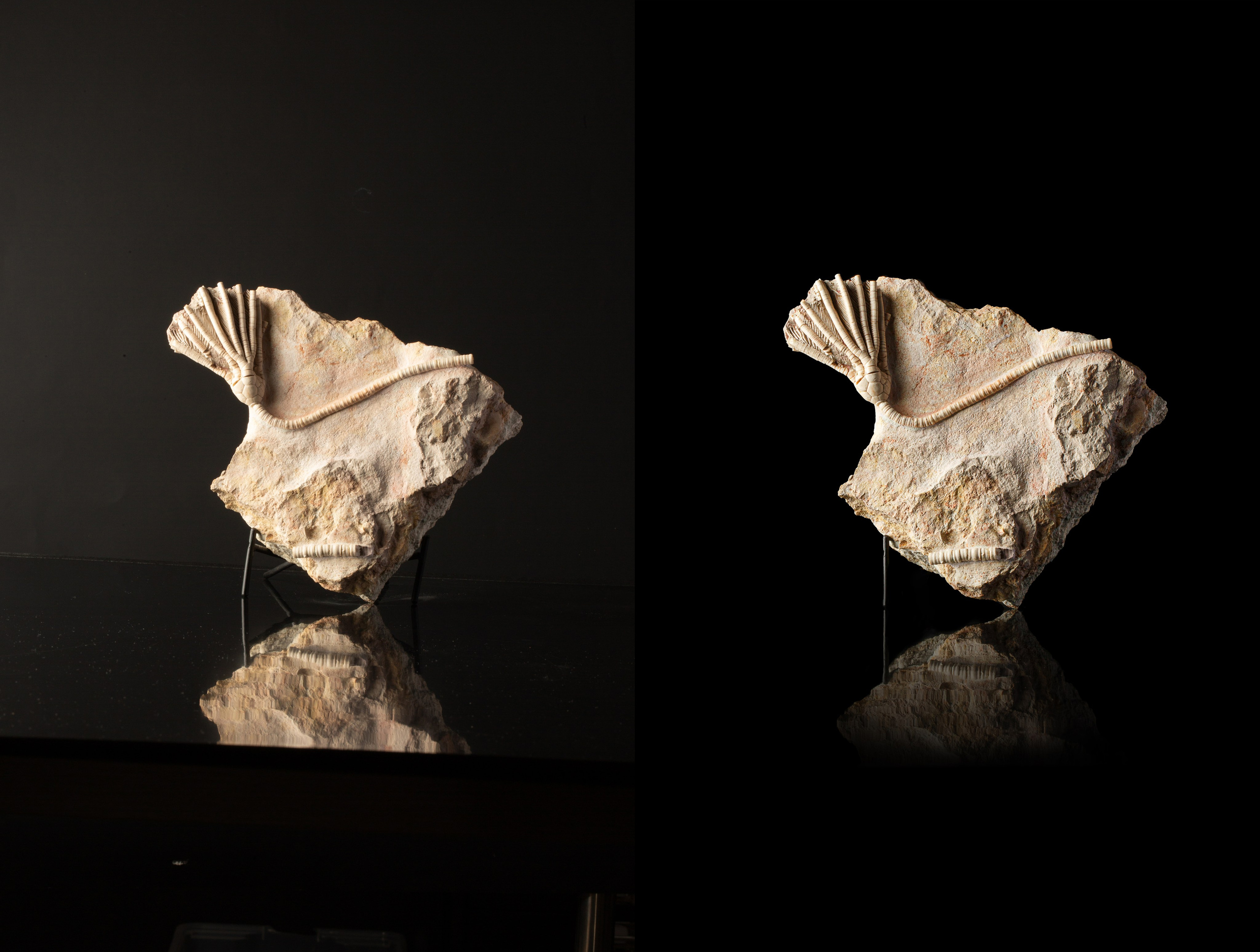 Предметы коллекционирования