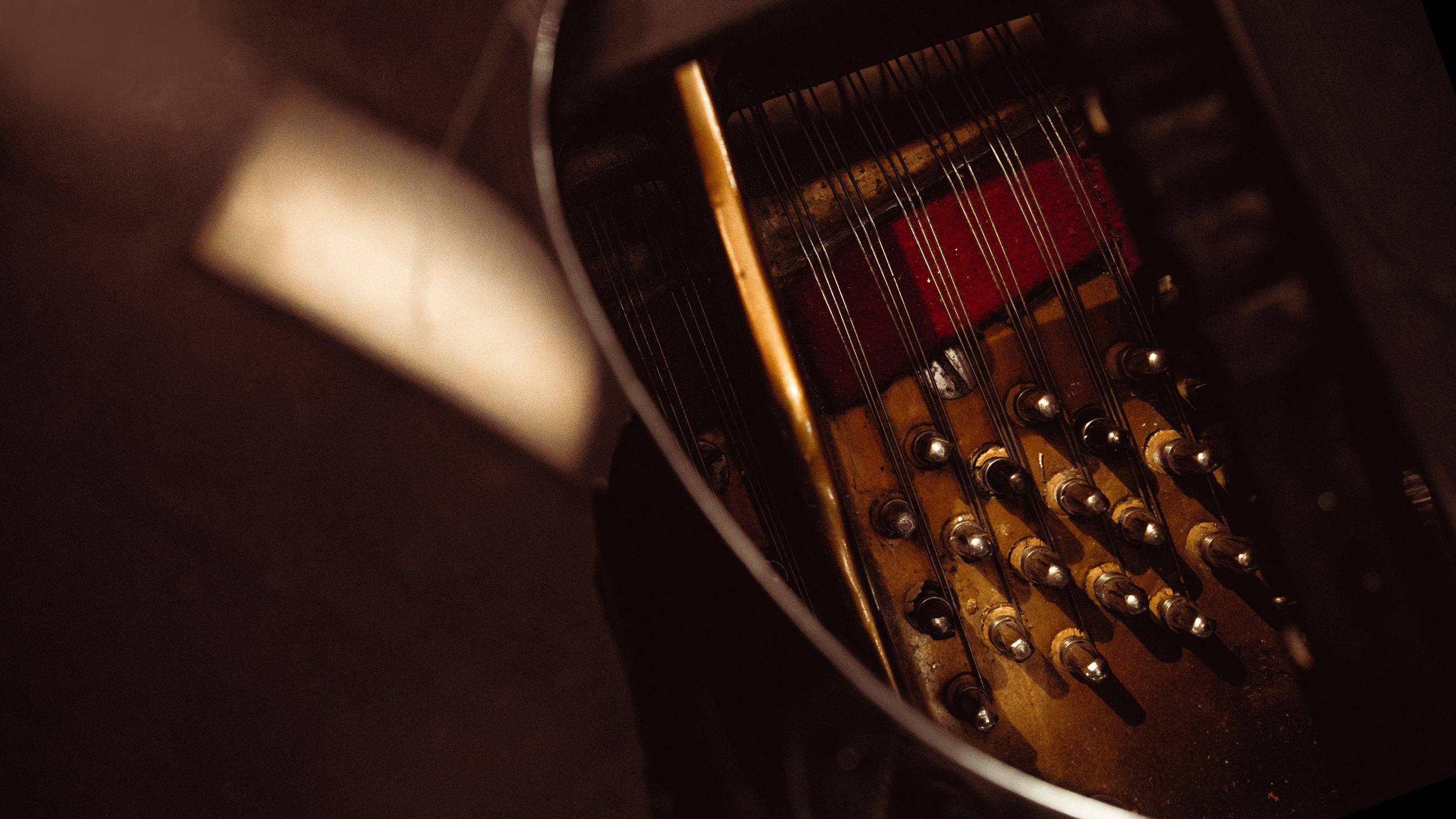 Музыка про людей. Дина Шаткова