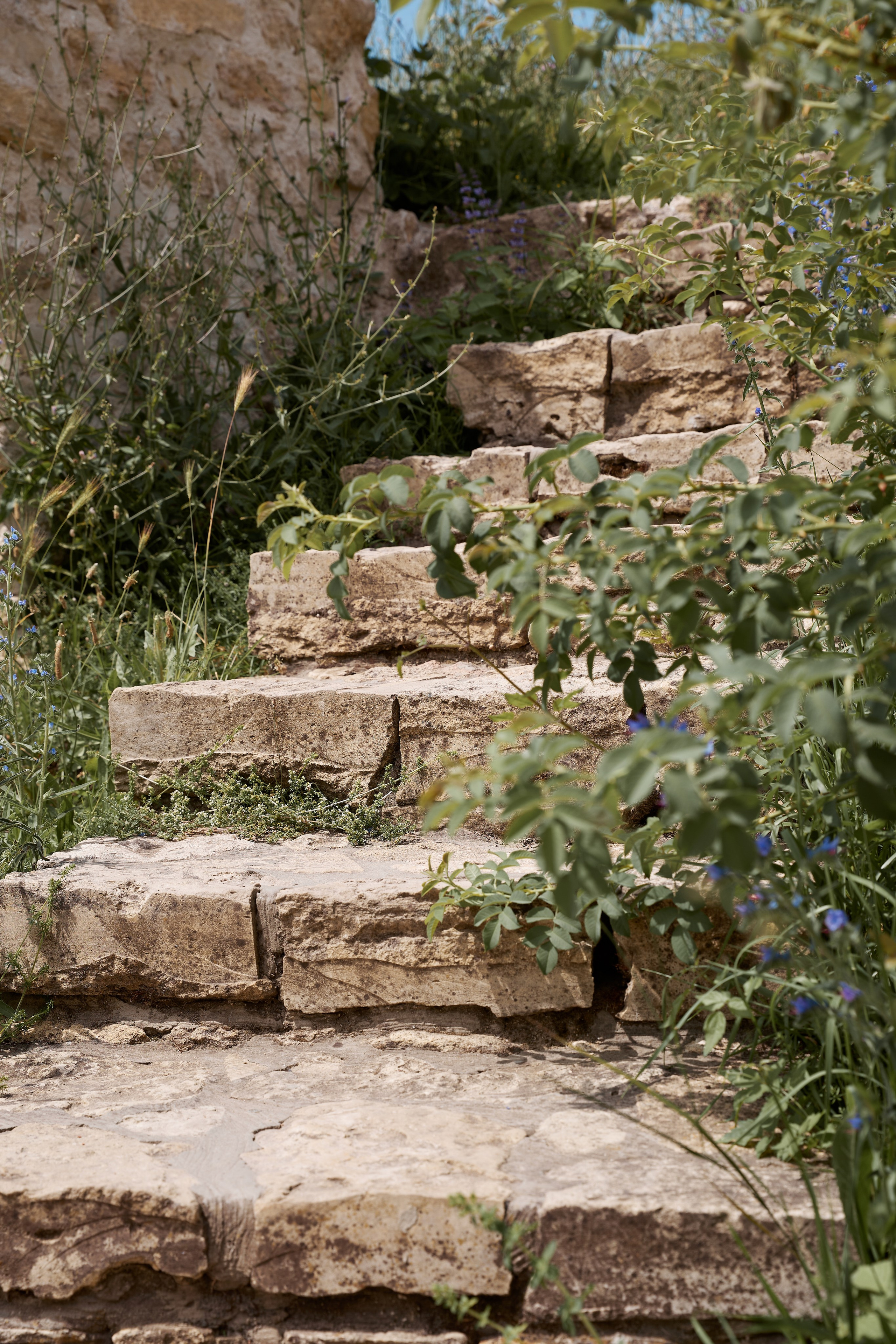 ОДНА ВИНОДЕЛЬНЯ. Репортажный и мужской фотограф в Краснодаре. Фотограф в Краснодаре