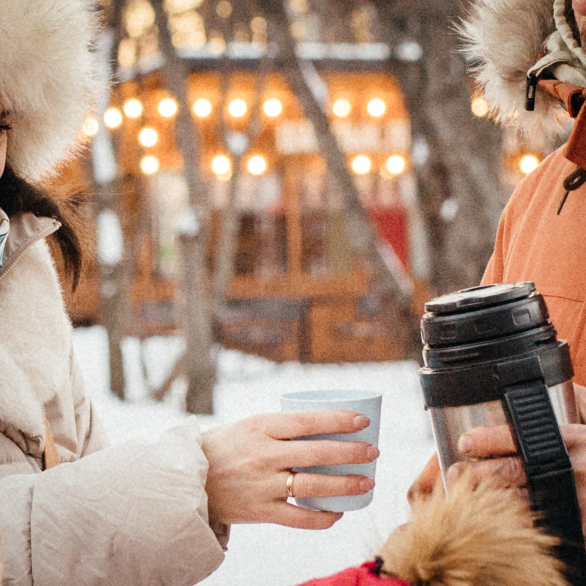 Зимняя семейная история