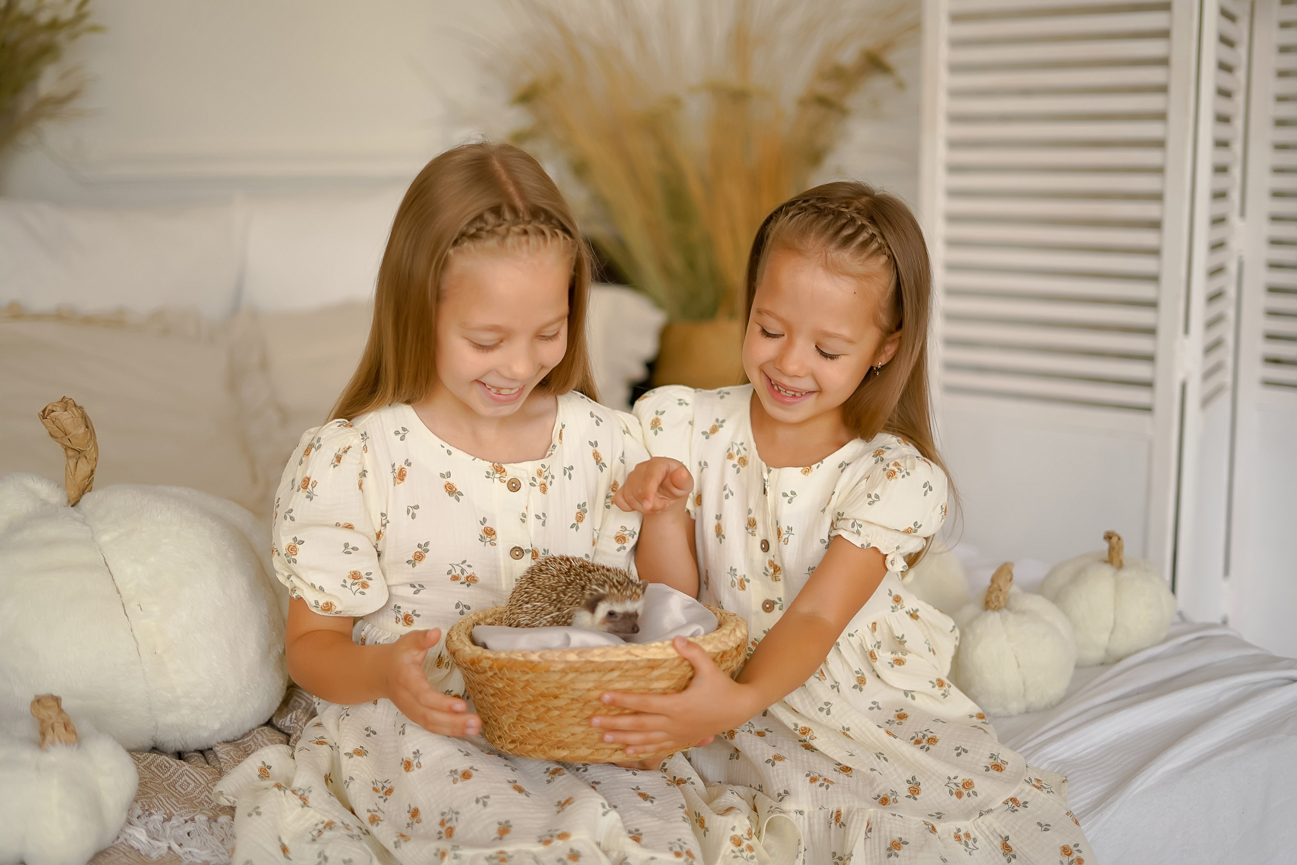 Девочки и ёжик. Фотограф Татьяна Митрофанова