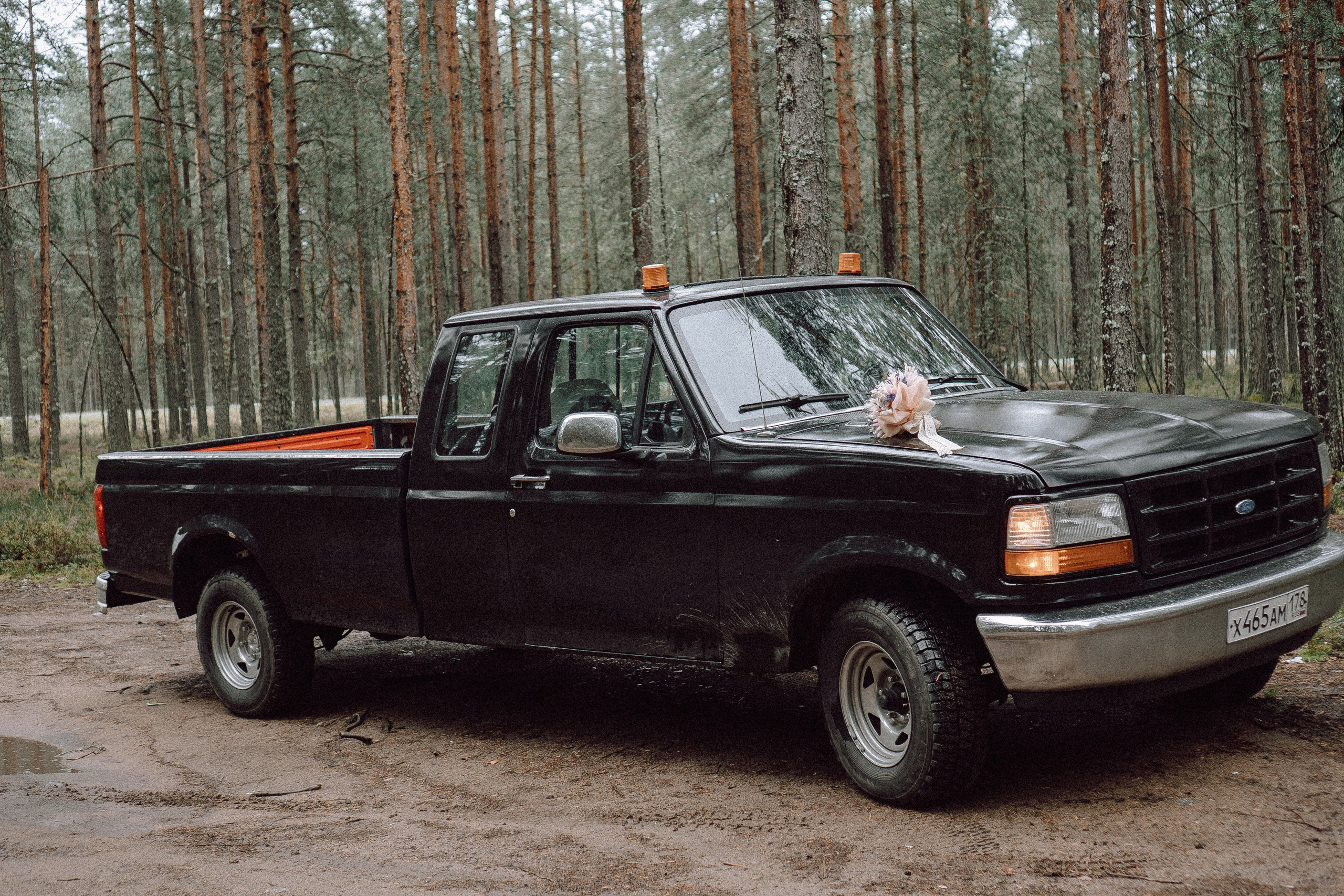 СВАДЕБНАЯ ФОТОСЕССИИЯ ПАРЫ В ГОРОДЕ ПРИОЗЕРСК В СОСНОВОМ ЛЕСУ И С ПИКАПОМ. Профессиональный фотограф, Санкт-Петербург — Виктория Богомолова