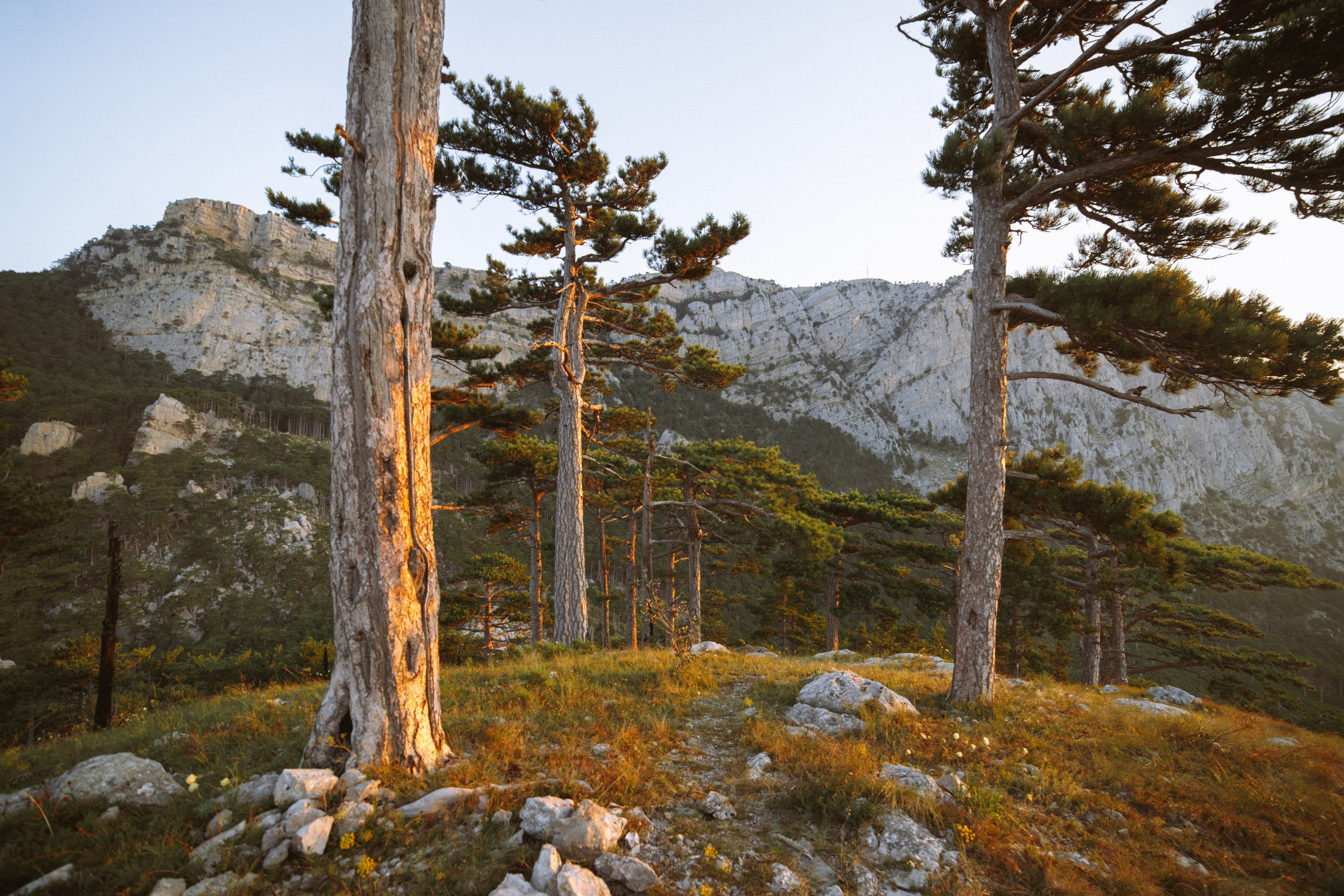 Nature. Артем Корнев Фотограф