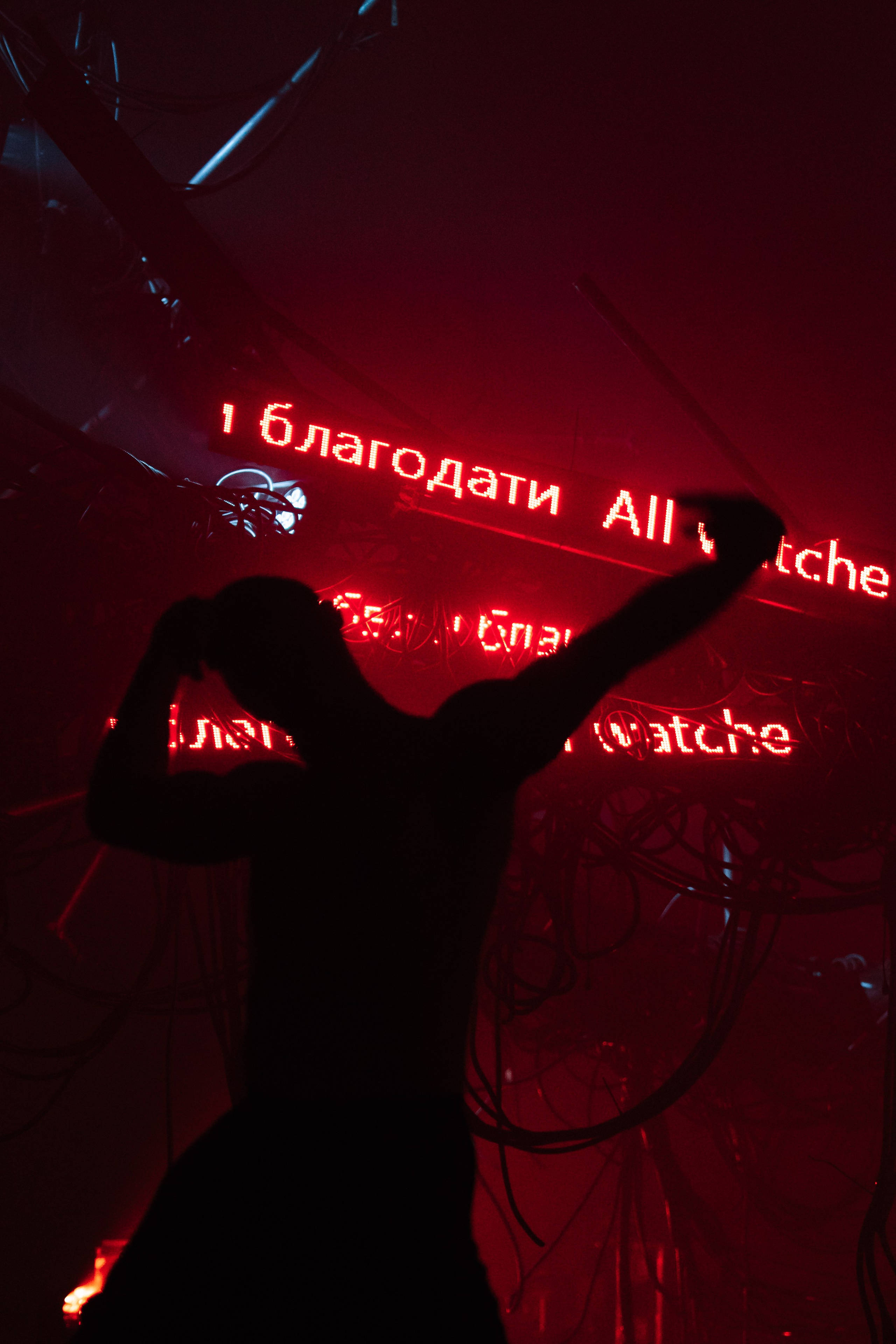 PERFORMA, The Hour of the Horse. @tomrus: Рустам Шагиморданов — фотограф