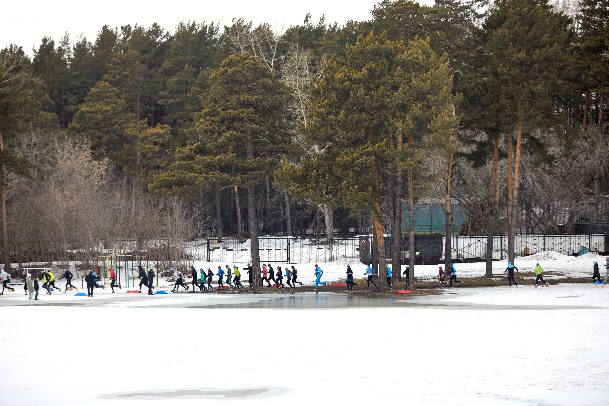 Спорт. AFL Media