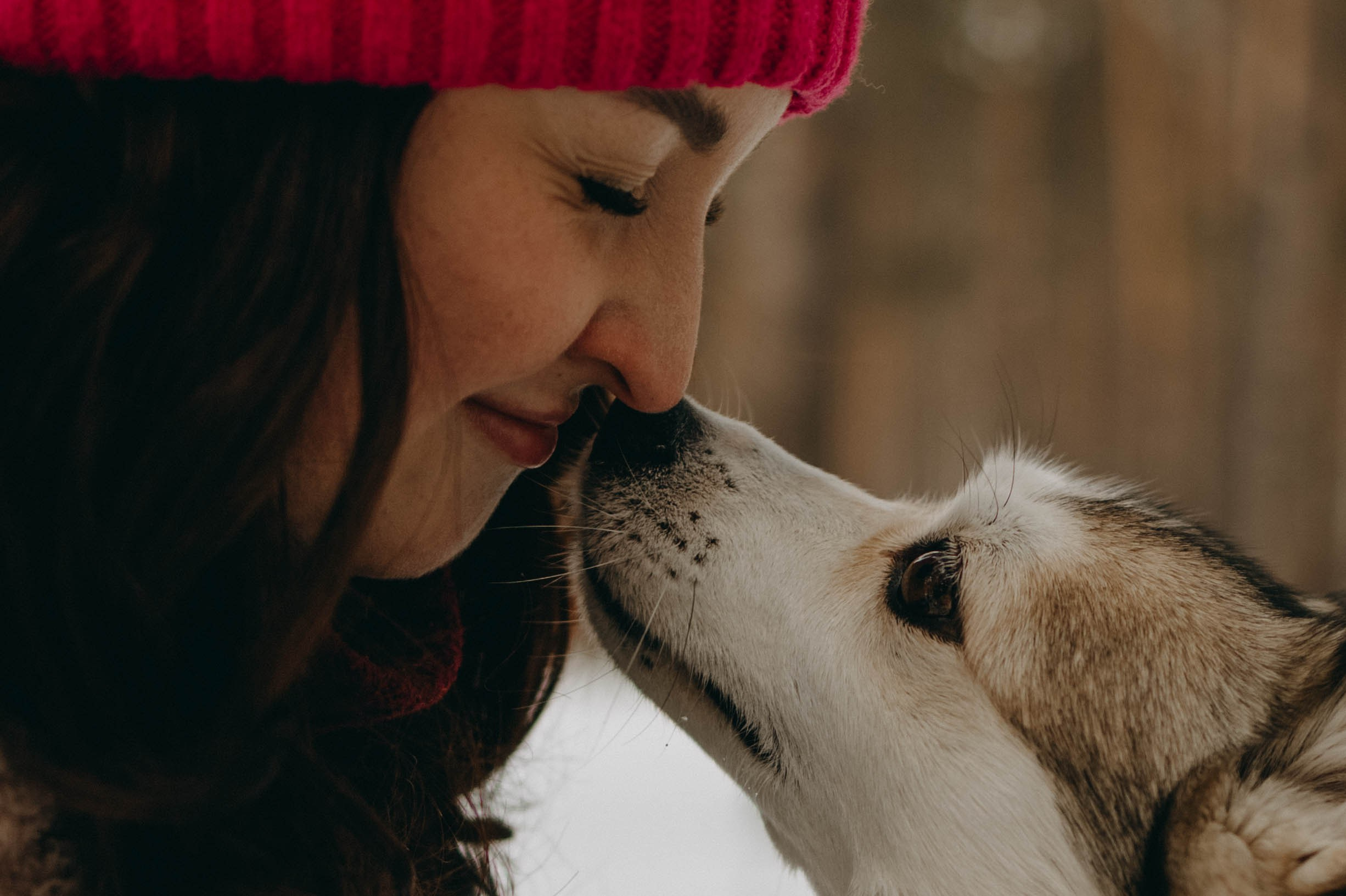 Варвара и Шелби. Фотограф-анималист в Екатеринбурге | Кристина