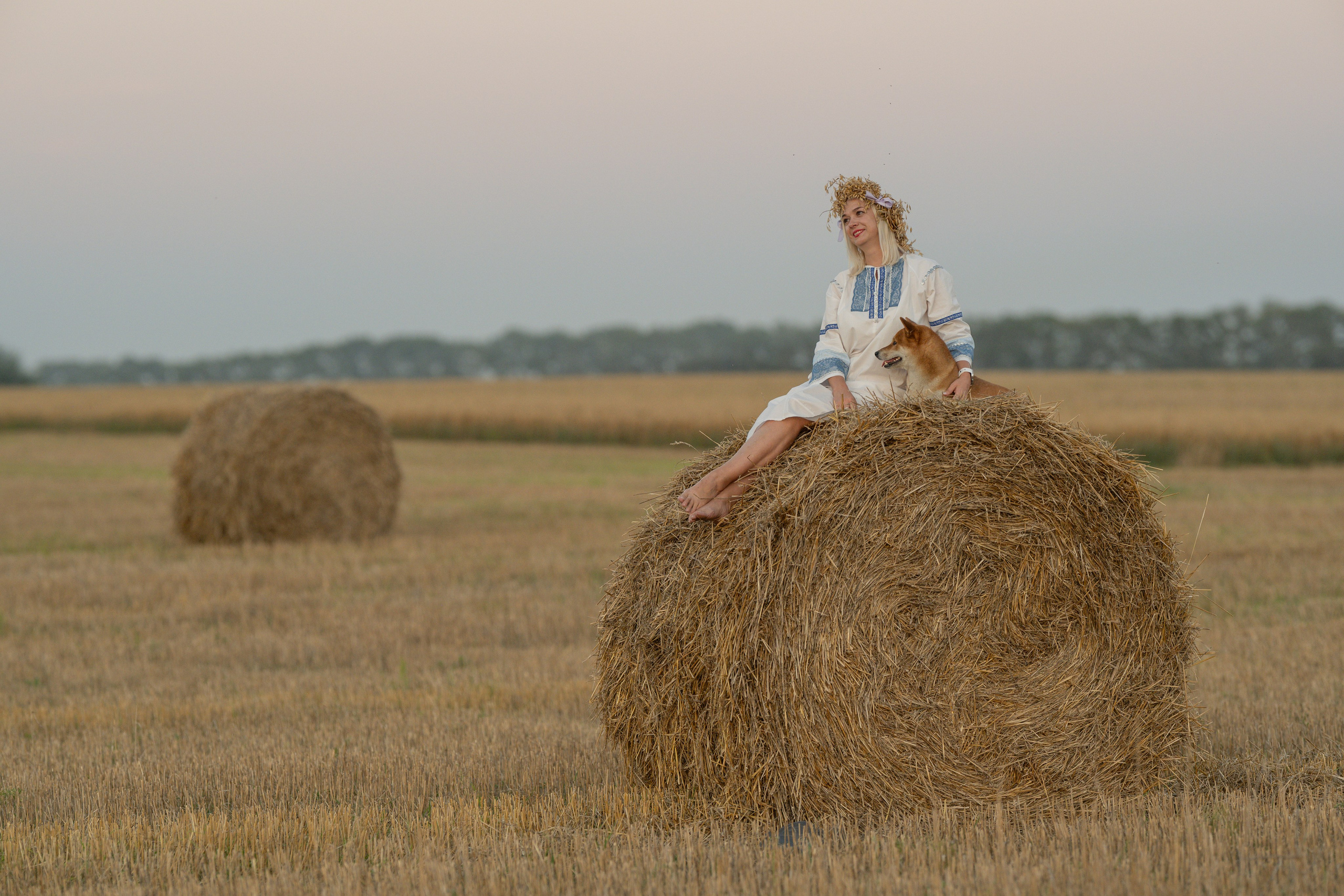 Закат в полях 31 августа 2024. -