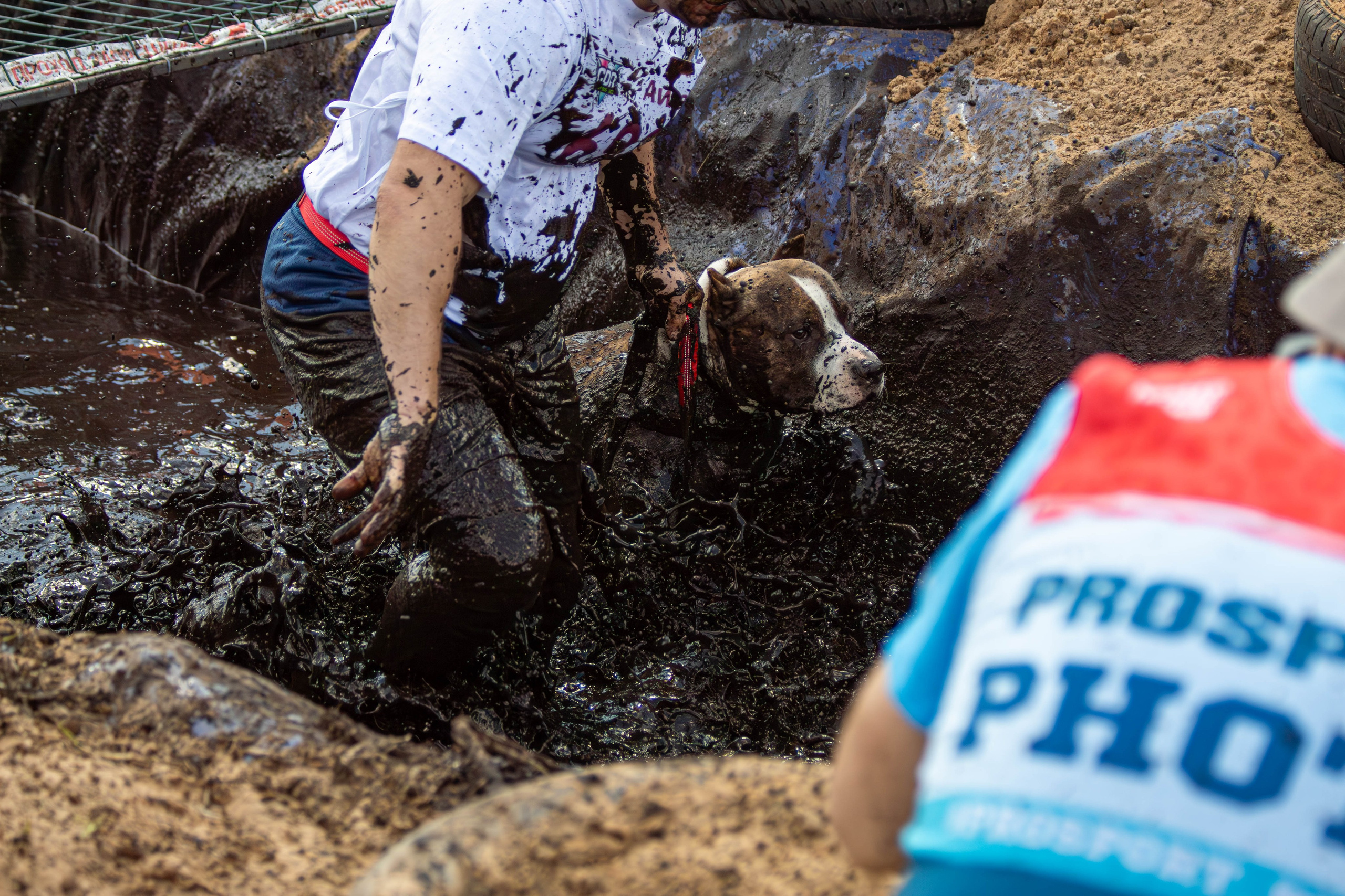 Хвостатый Драйв 2024. Фотограф анималист — Тула, Москва