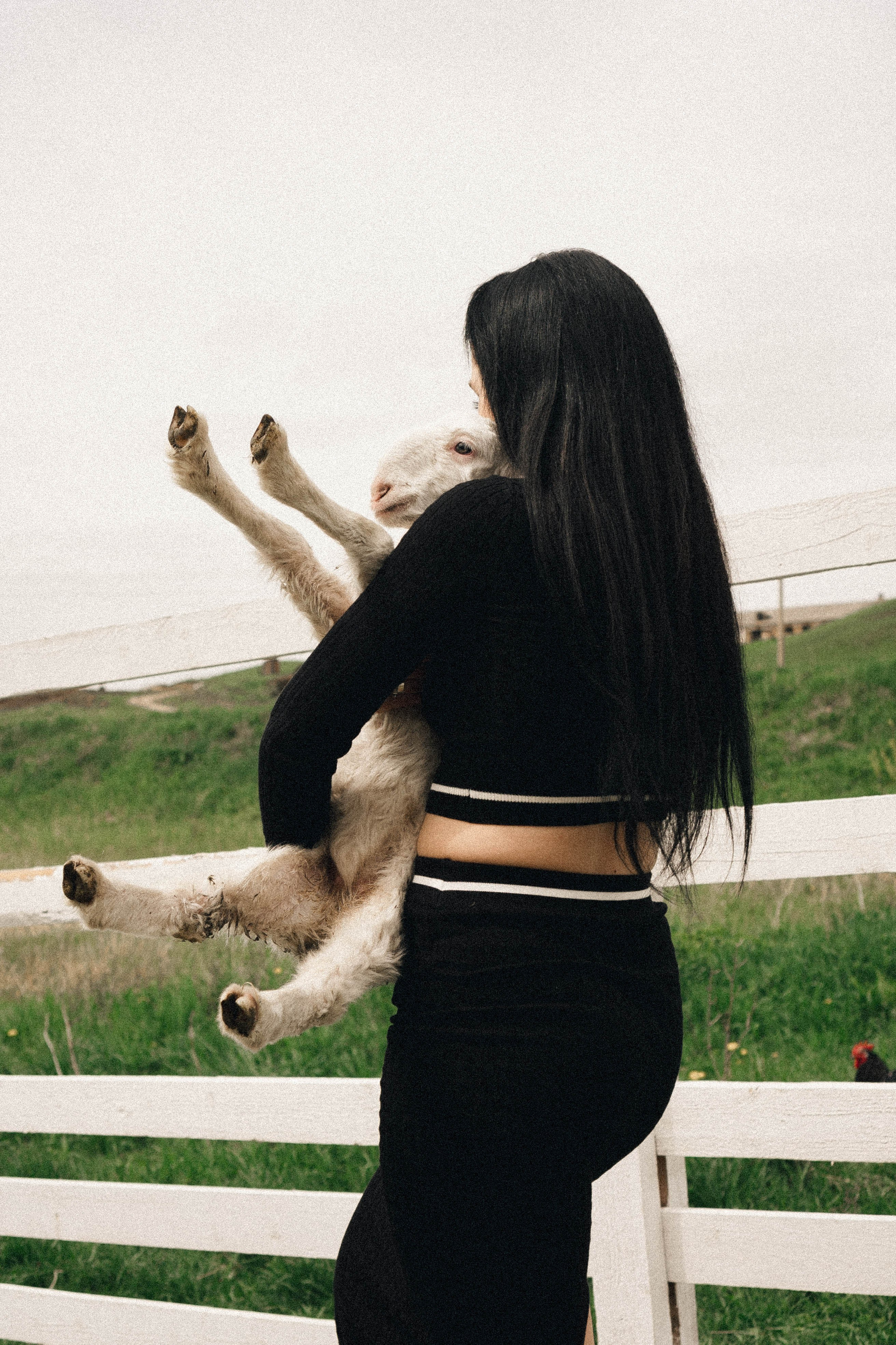 Ферма Альпак. Профессиональный фотограф, Санкт-Петербург — Виктория Богомолова