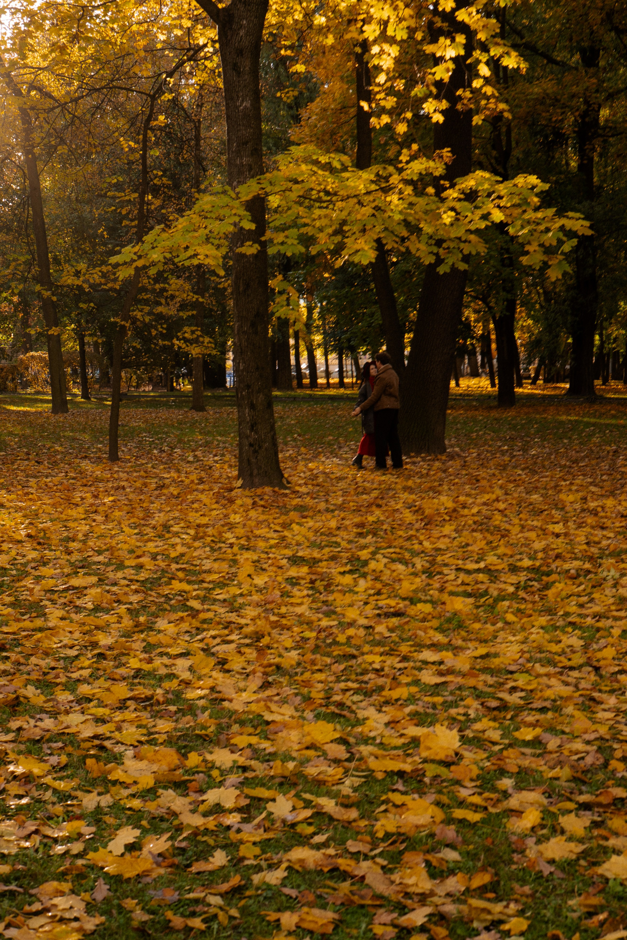 ОСЕННЯЯ ПРОГУЛКА. Профессиональный фотограф, Санкт-Петербург — Виктория Богомолова