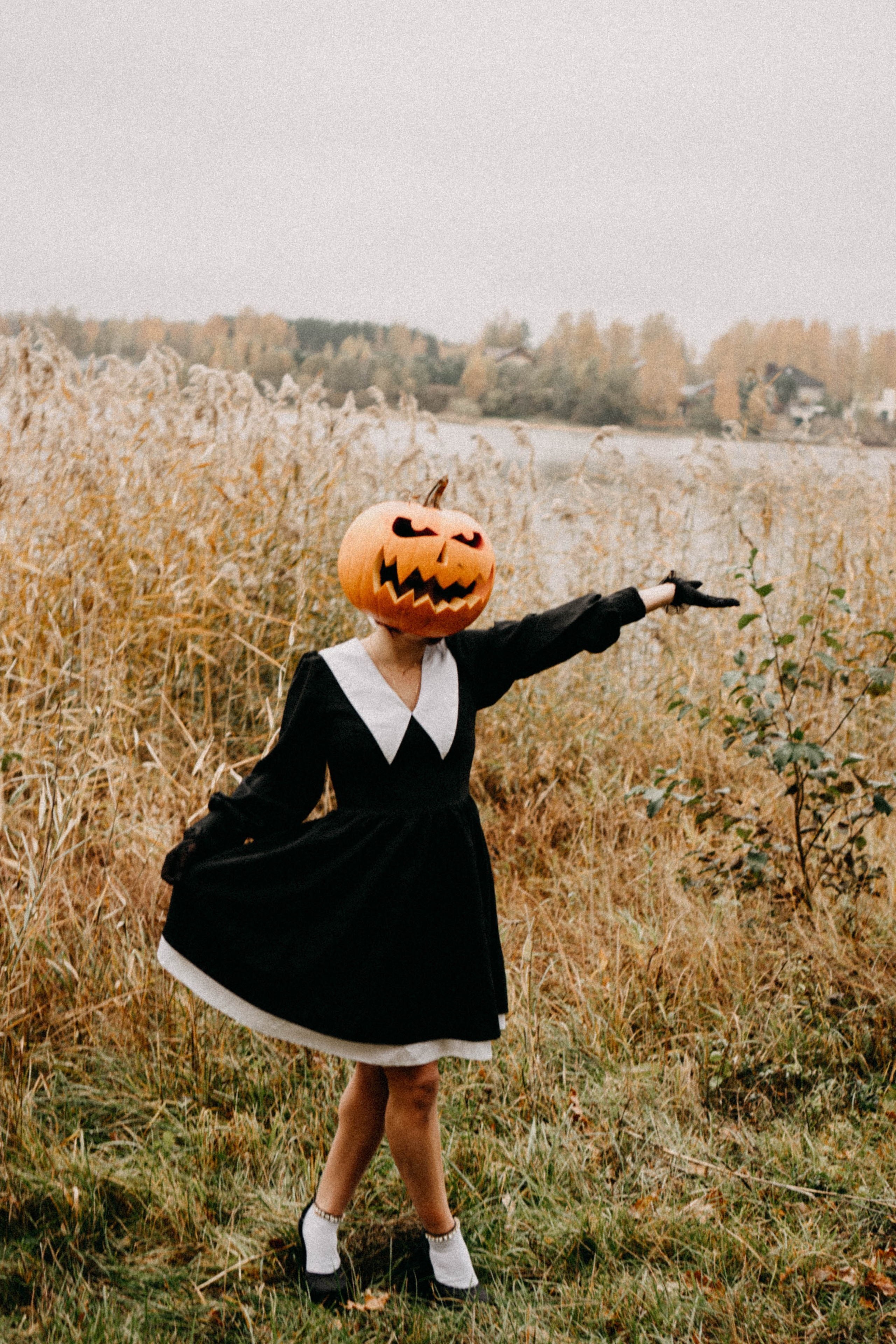 Осеняя. Профессиональный фотограф, Санкт-Петербург — Виктория Богомолова