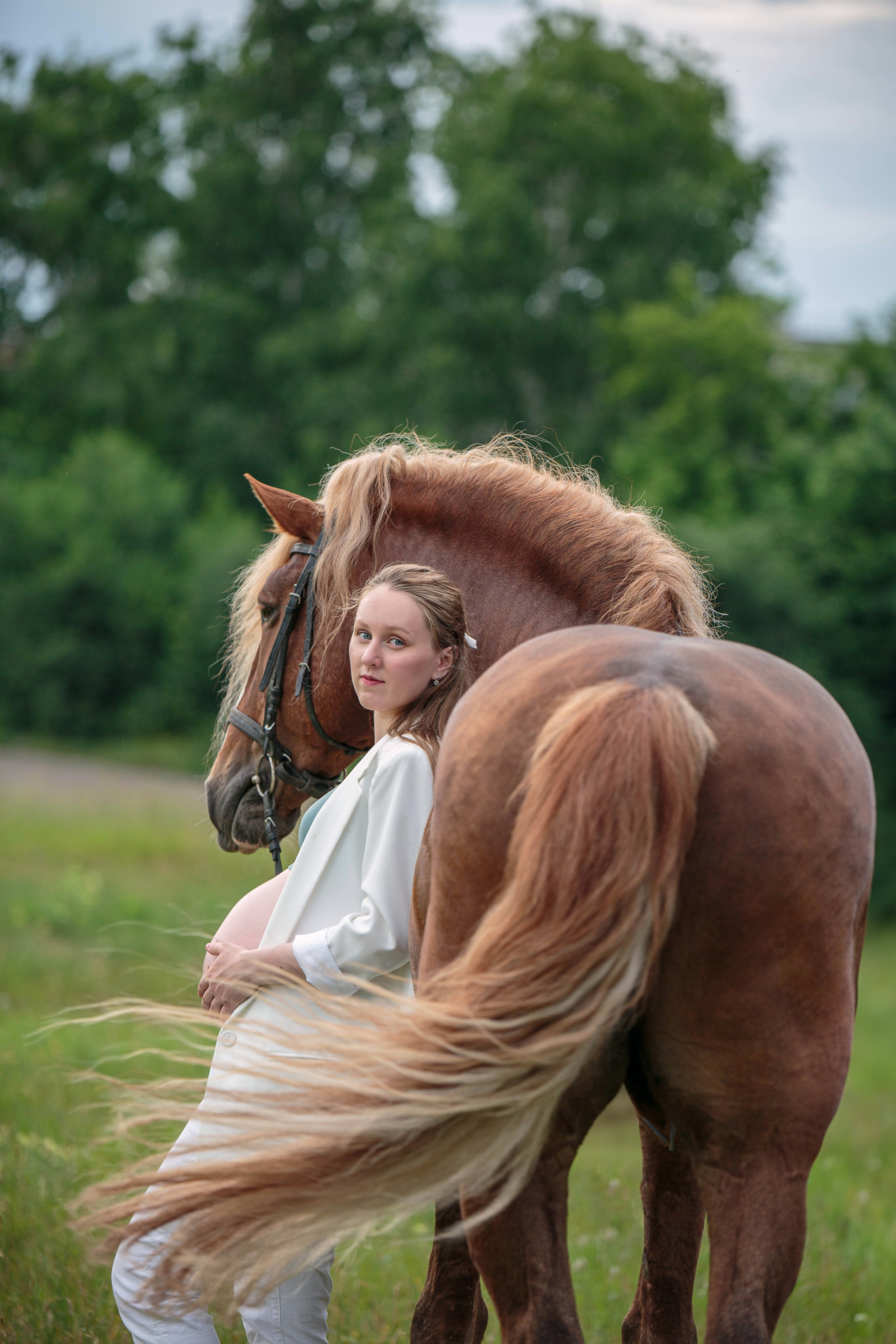 Карета 24. Конный фотограф в Красноярске — Любовь Похабова