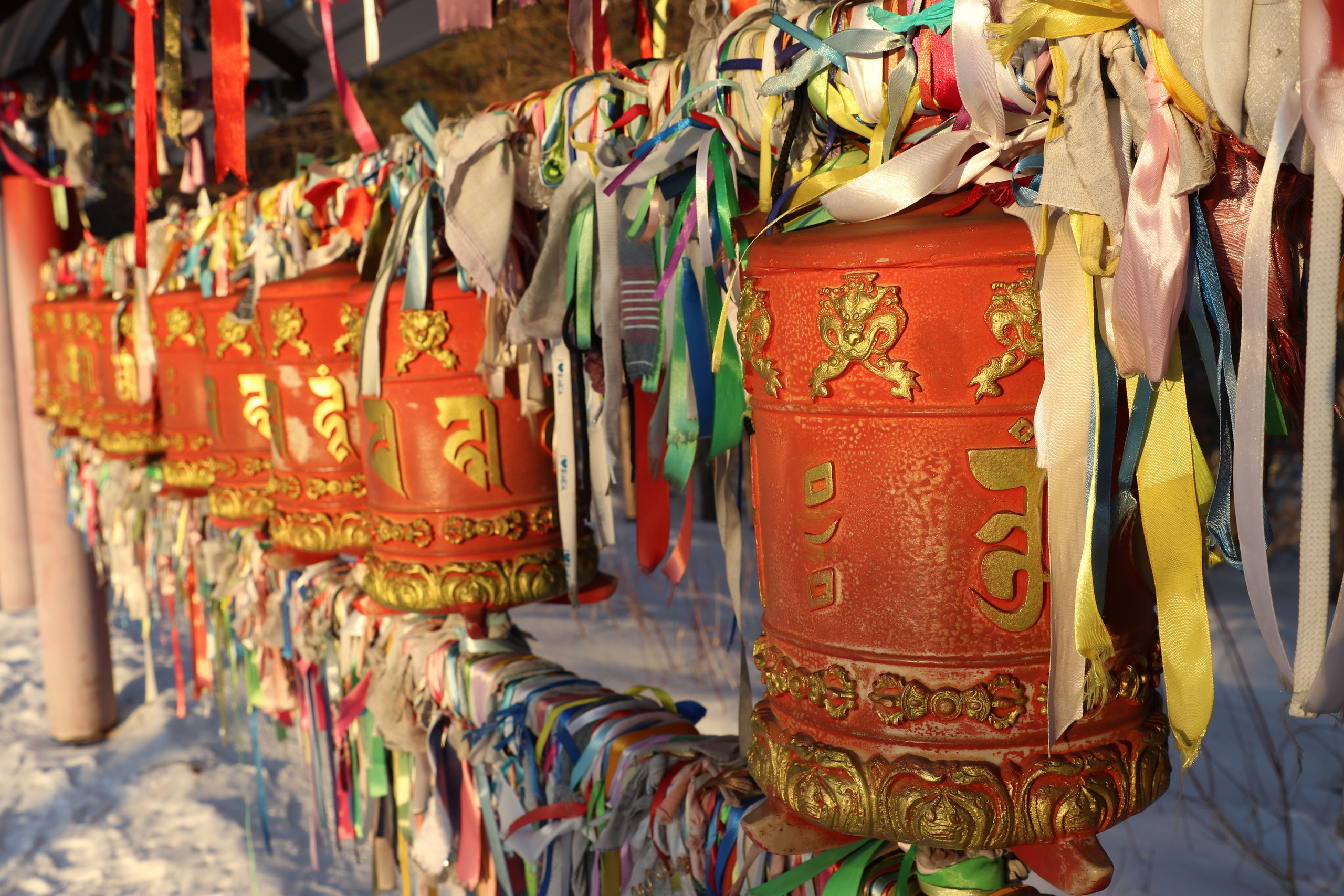 Аршан. Февраль 2025. Путешественник-фотограф из Санкт-Петербурга Татьяна Свистулина