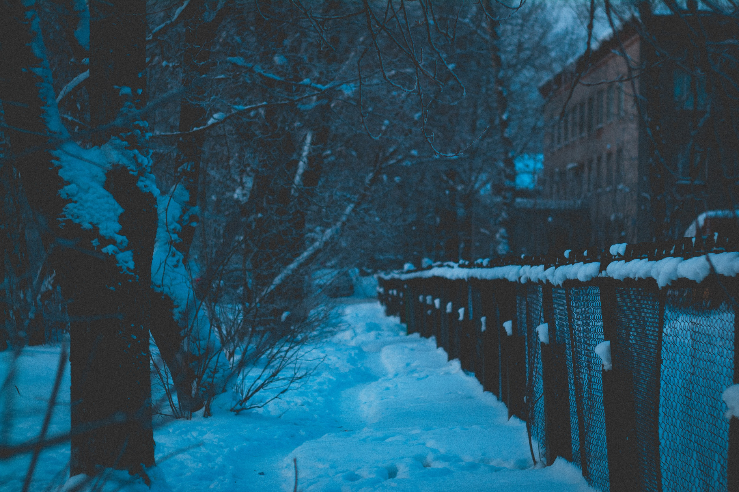 Мороз. Den Mirov — Фотограф, Музыкант