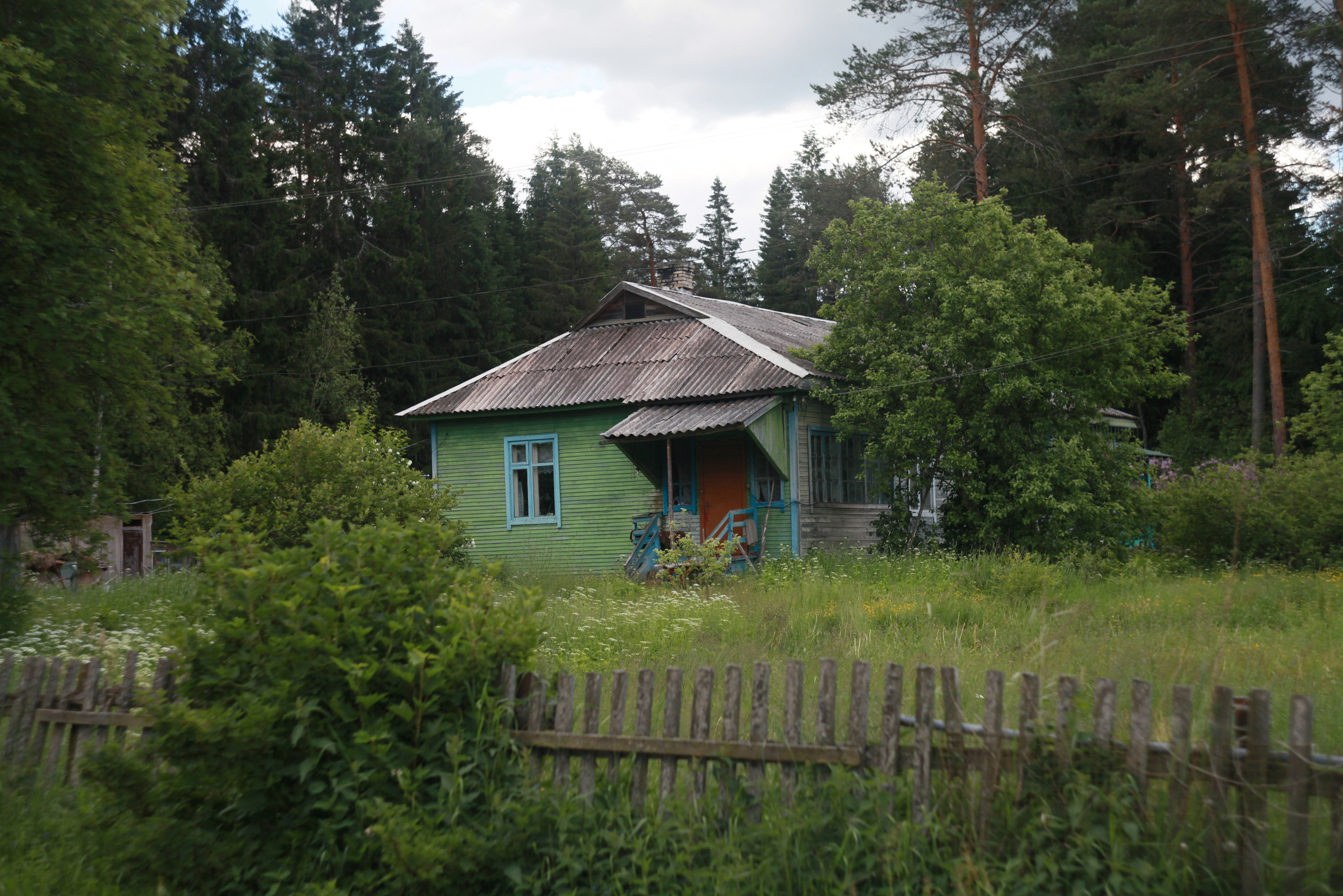 День. Den Mirov — Photographer, Musician
