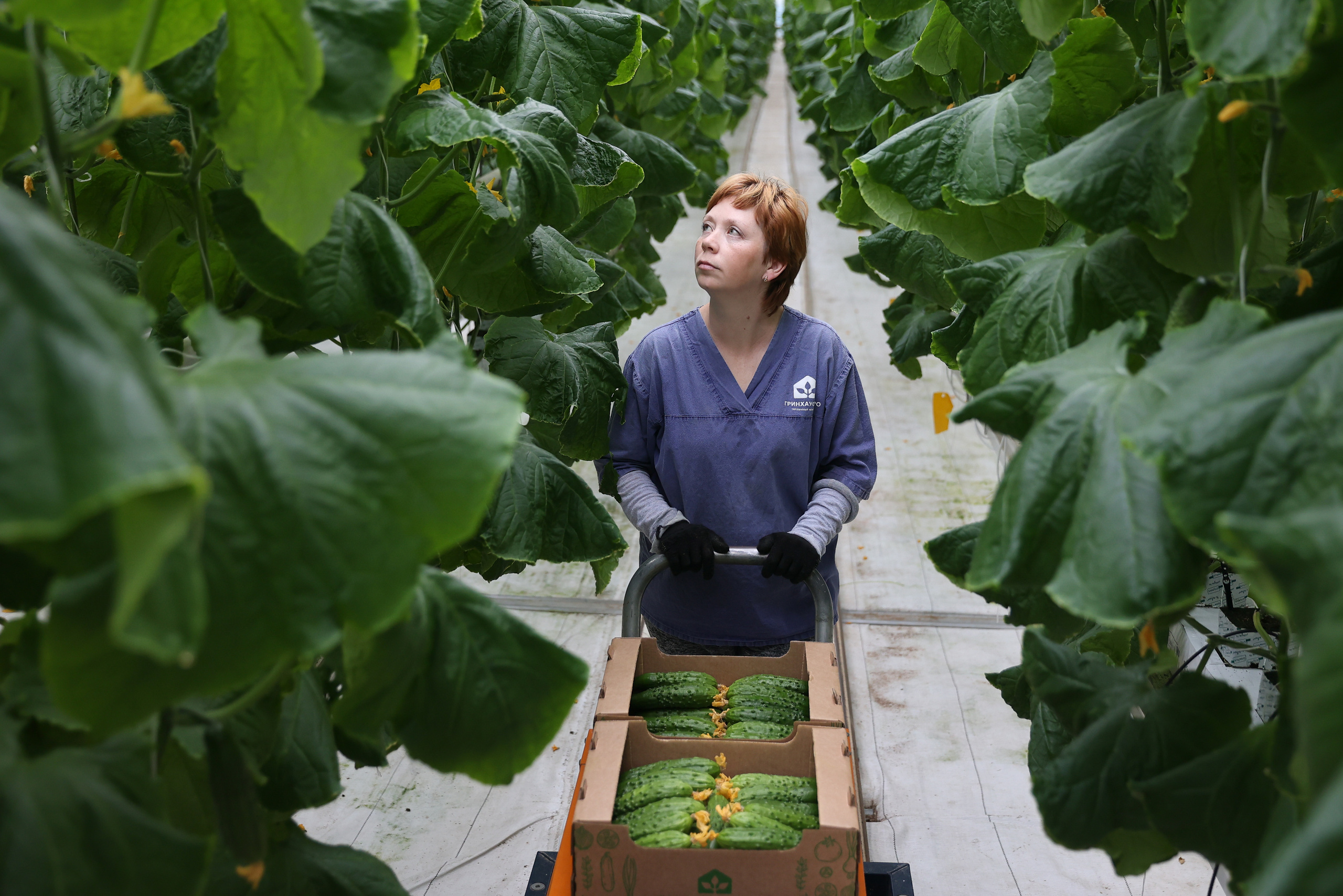 Агро. Тимкив Виталий репортажный фотограф в Краснодаре