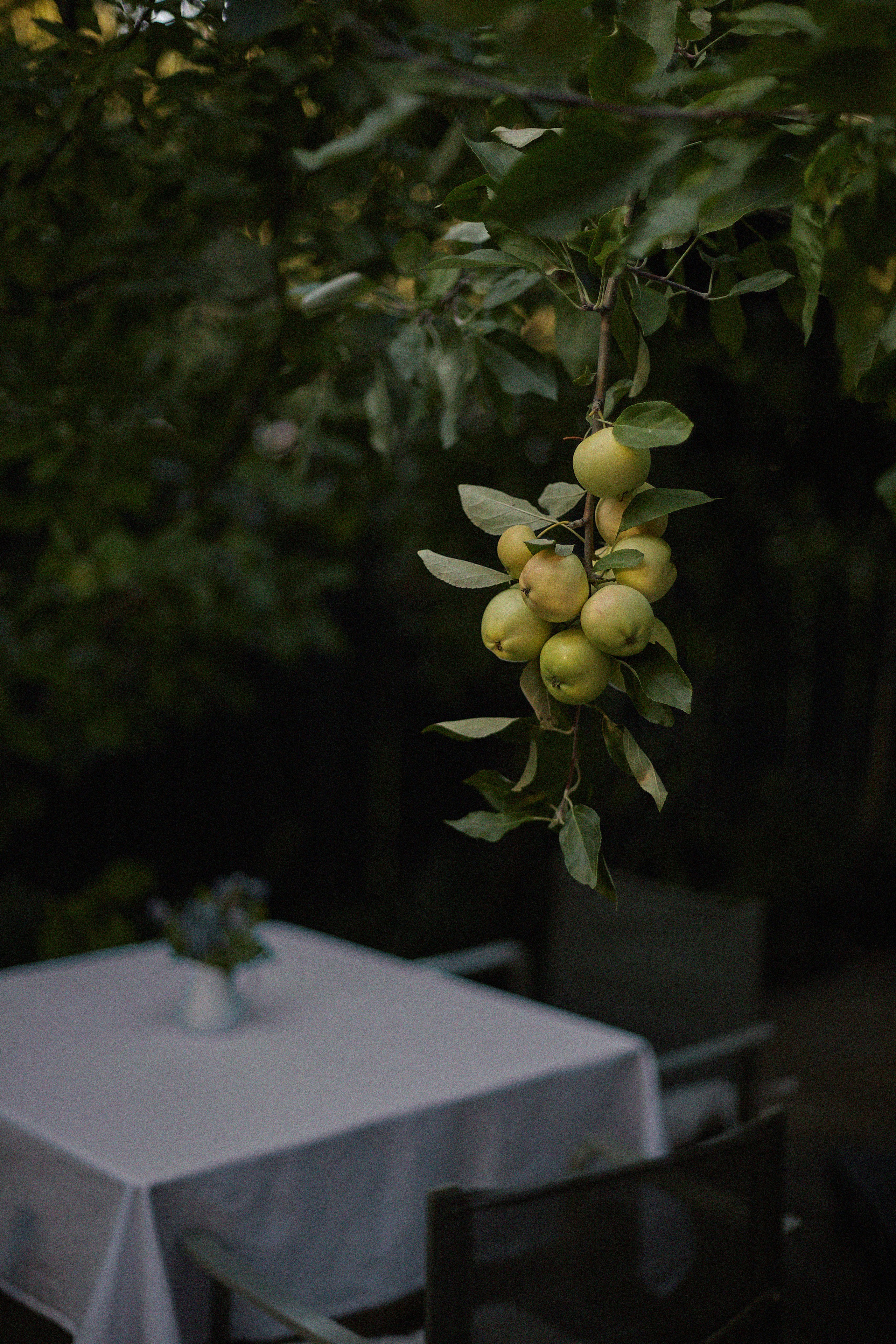 Кая — музыкант, диджей. Анастасия Зобнинá — фотограф в Санкт-Петербурге/СПб