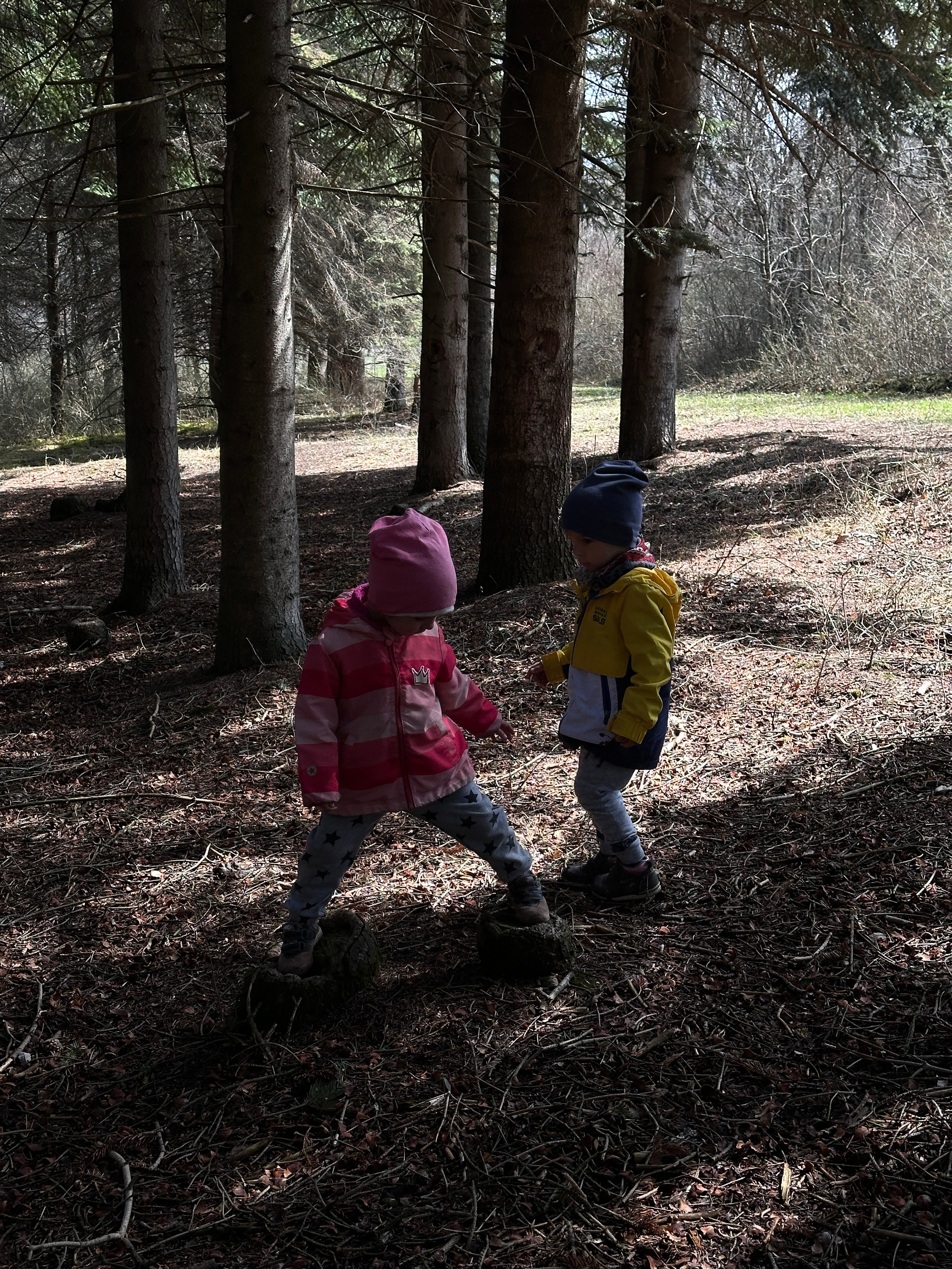 Дети. Смотри, красота!