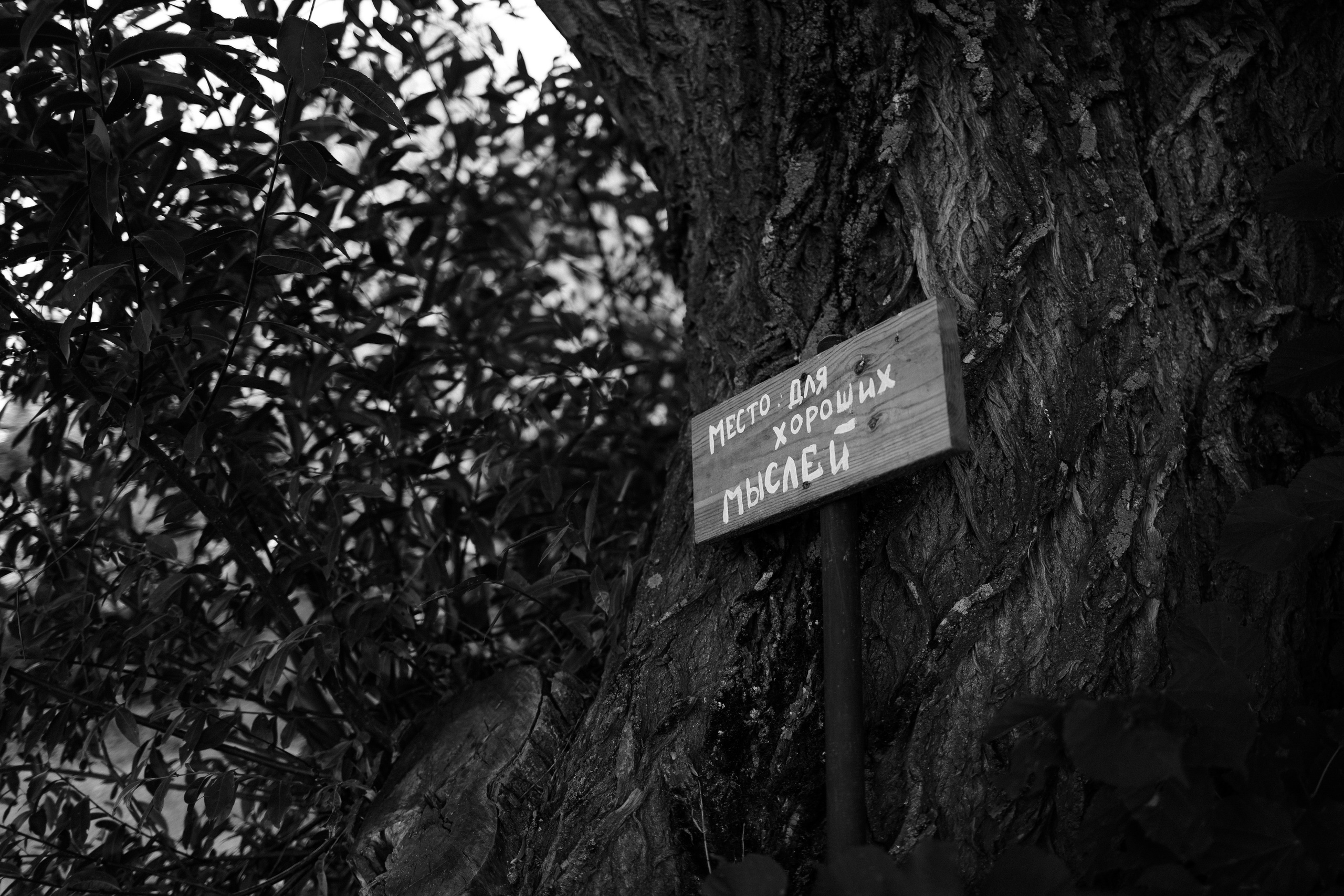 Щелкунчик под открытым небом 🤌🏻