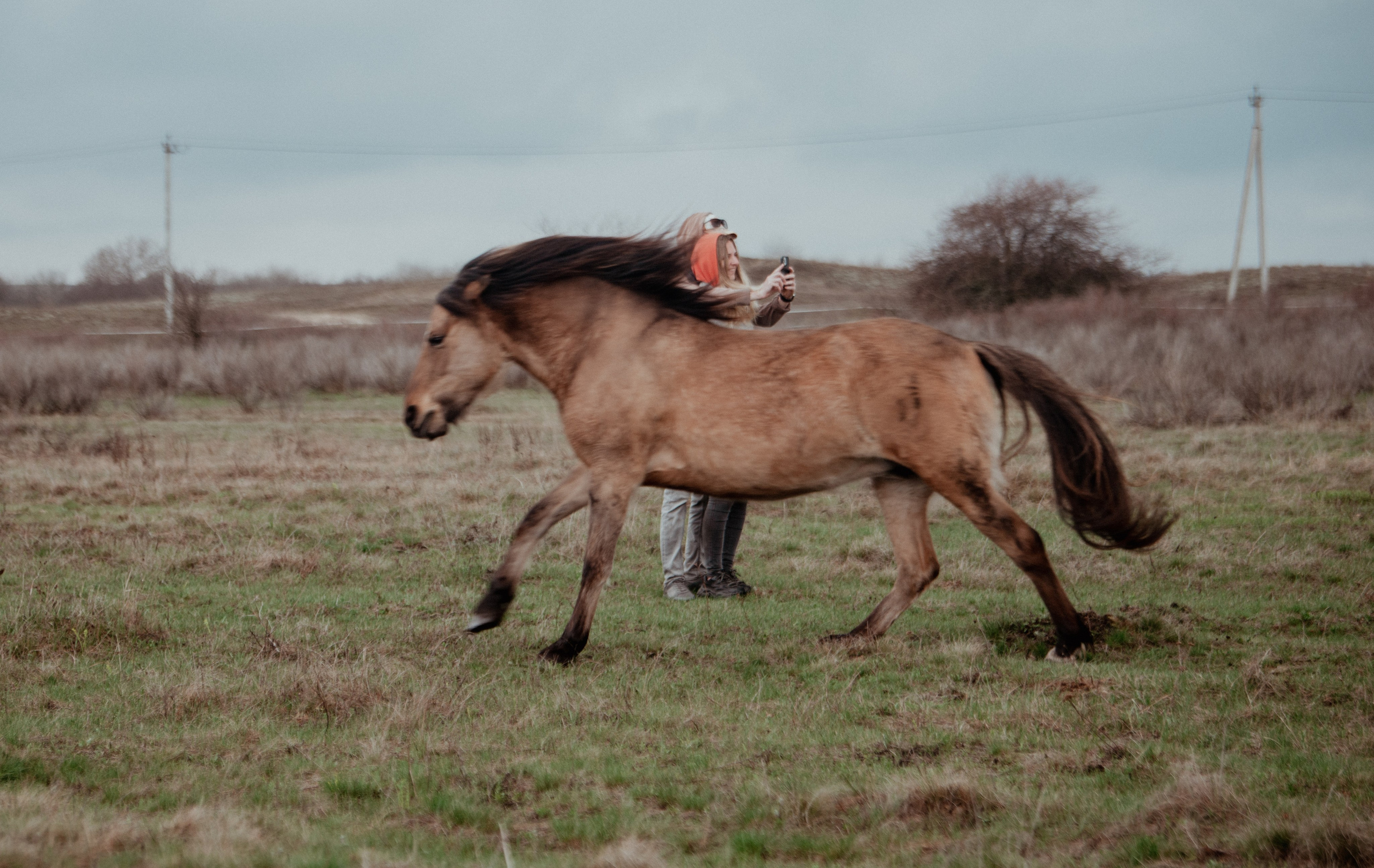 Прикосновение. Конный фотограф в Саратове Юлия Иванова