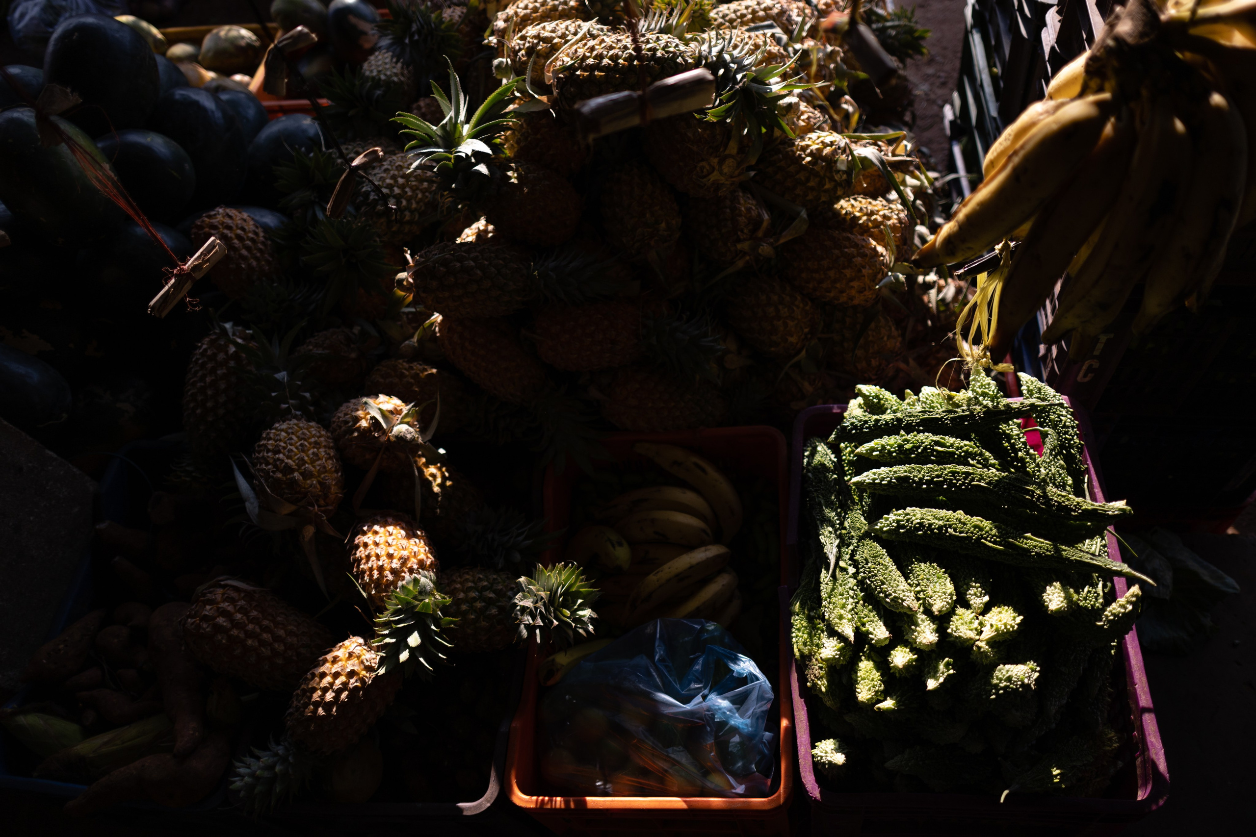 ГОА 2024. Руслан Плахтеев