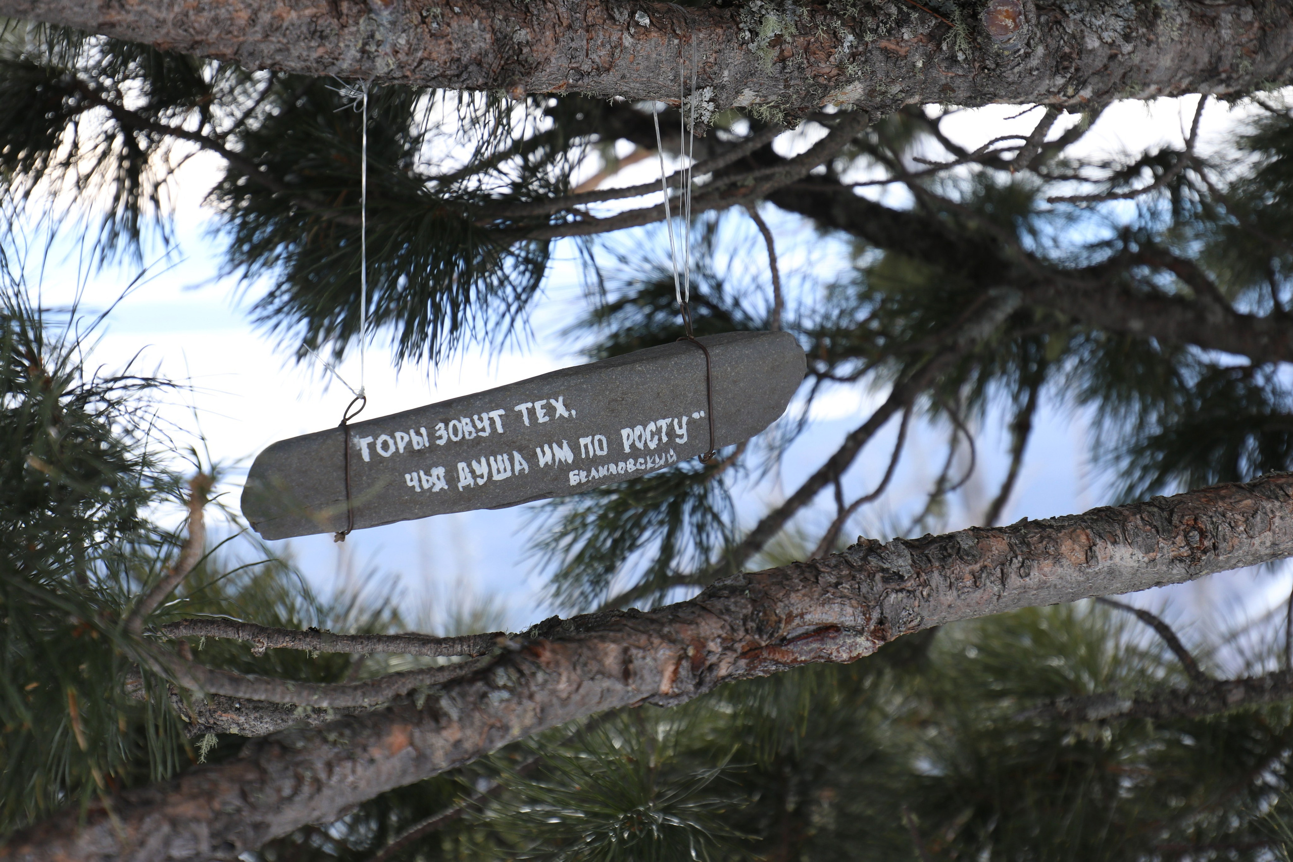 Аршан. Февраль 2025. Путешественник-фотограф из Санкт-Петербурга Татьяна Свистулина