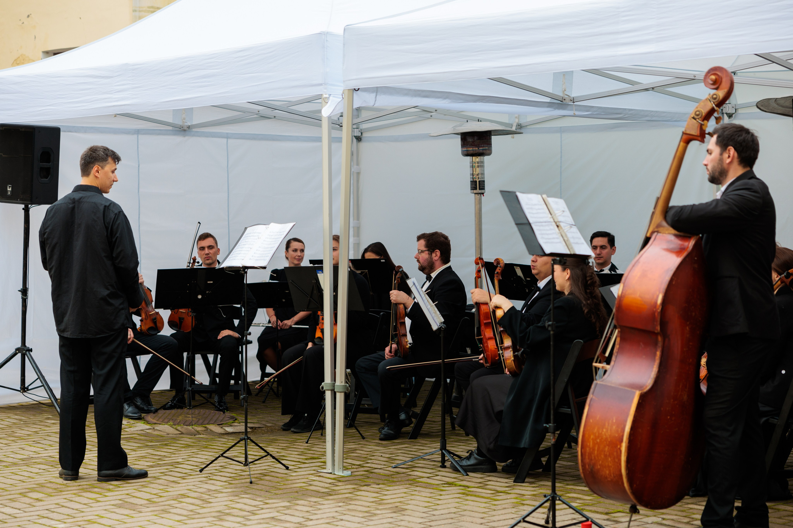 Концерт малого симфонического оркестра. Репортажный фотограф Санкт-Петербург | Роман Карбышев