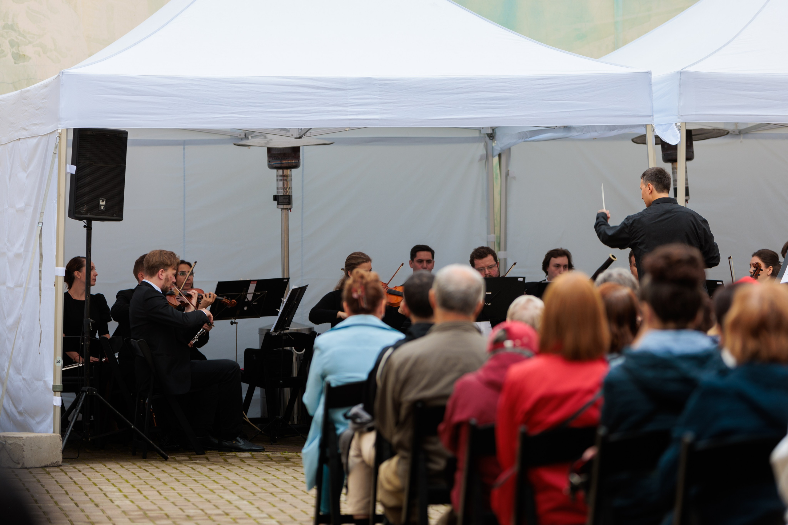 Концерт малого симфонического оркестра. Репортажный фотограф Санкт-Петербург | Роман Карбышев