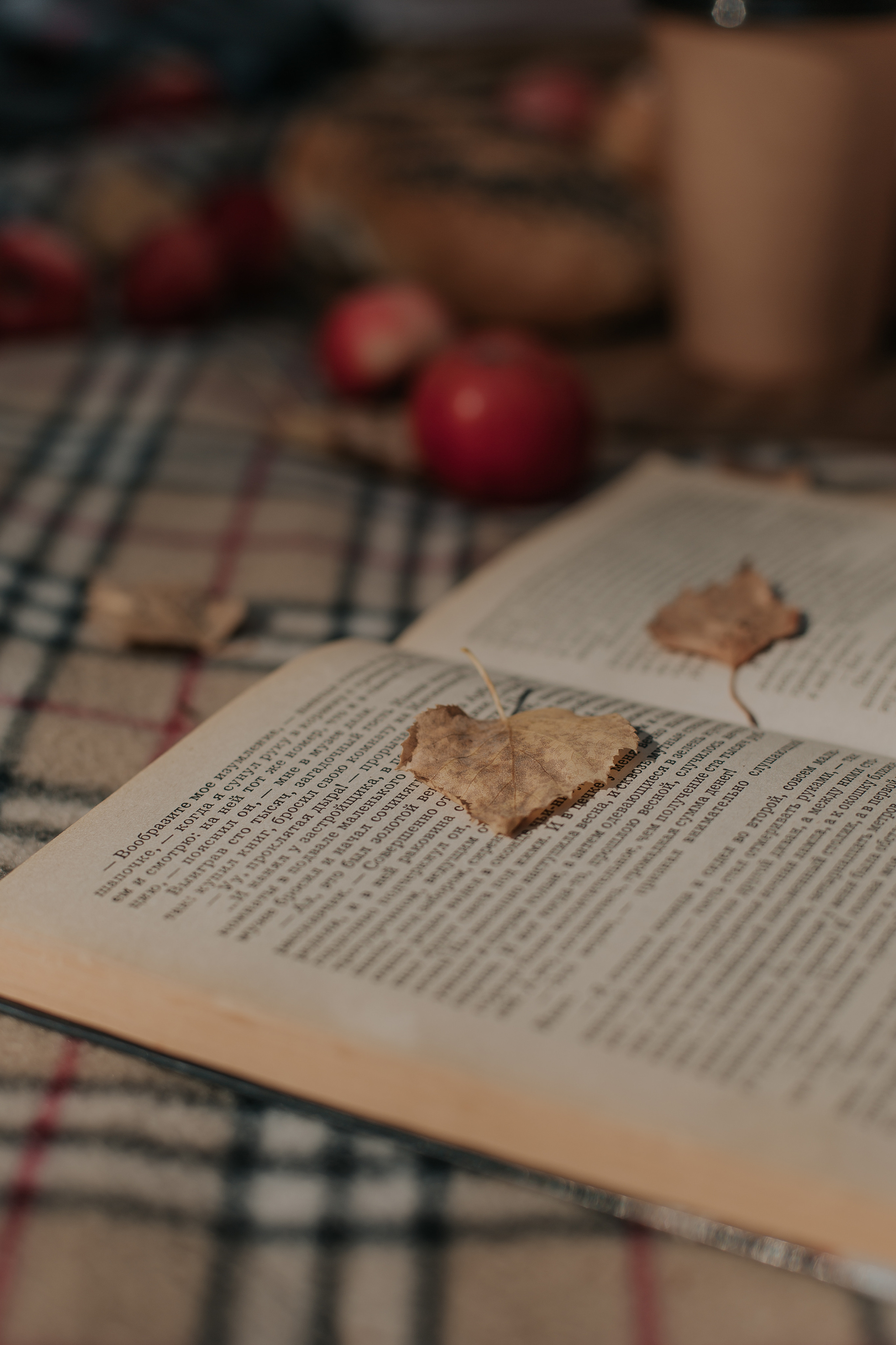 ПИКНИК В ЛЕСУ. Фотограф в Киселёвске Татьяна Трухалева