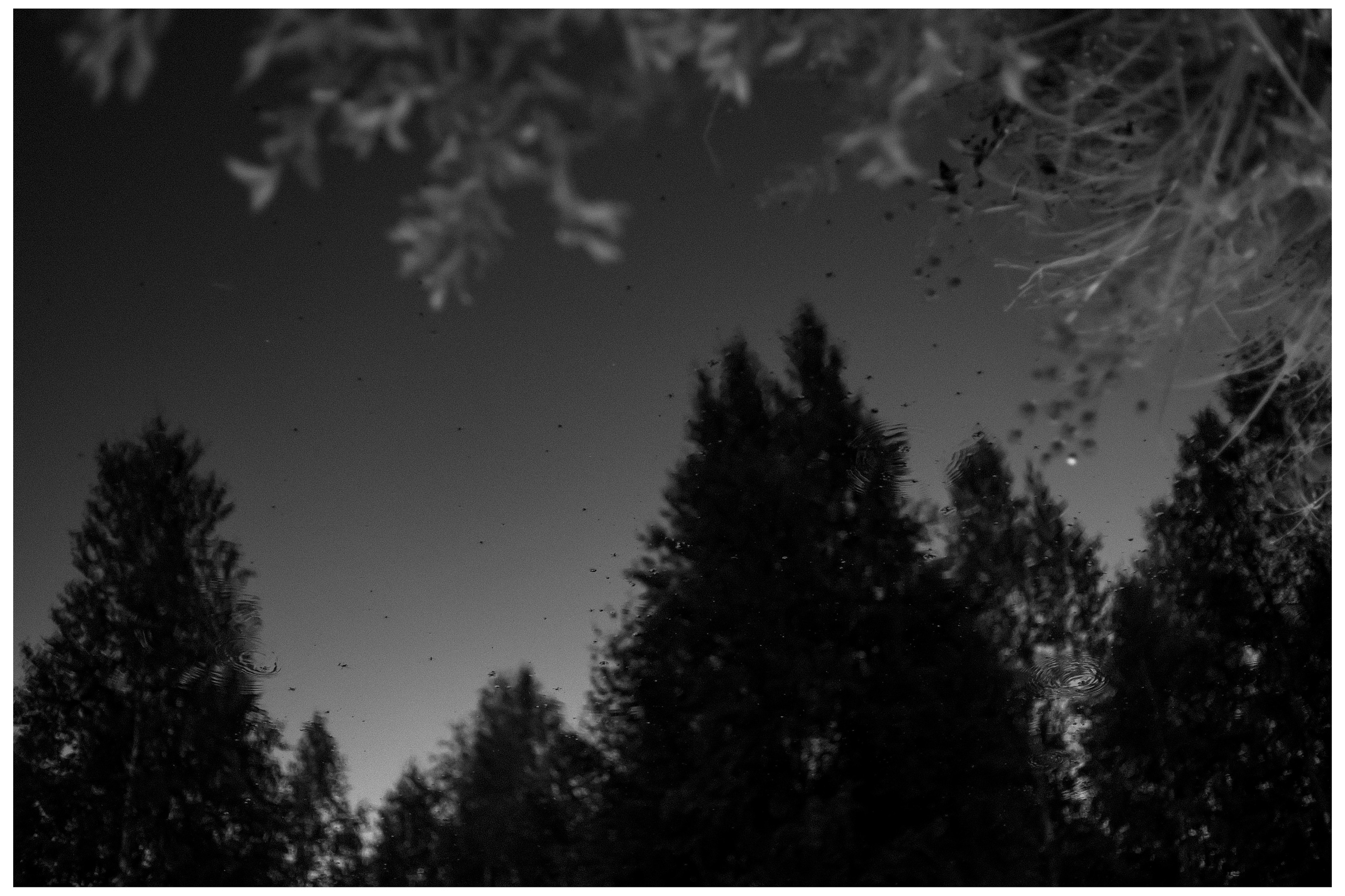 Плюс тридцать градусов на лужайке. Фотограф Андрей Куськало