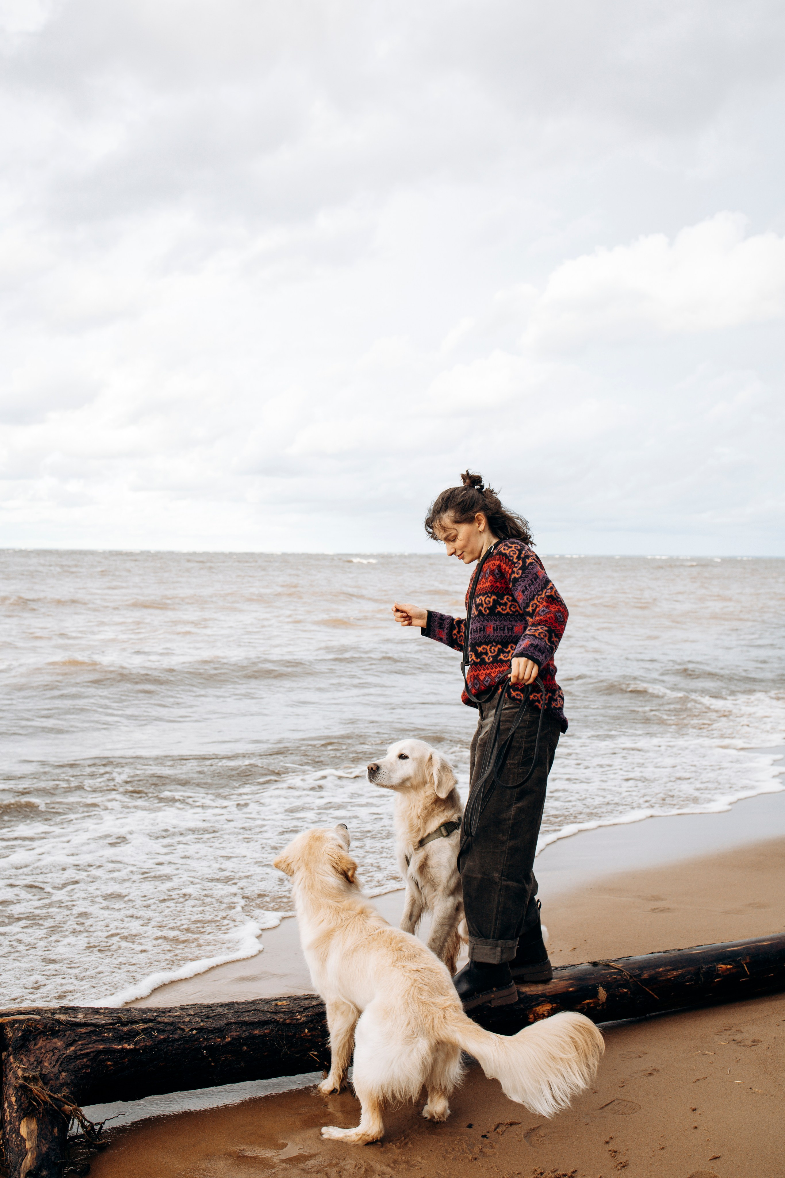 Прогулка Насти с Арчи и Арагоном. Фотограф-анималист в Санкт-Петеребурге Титова Алиса