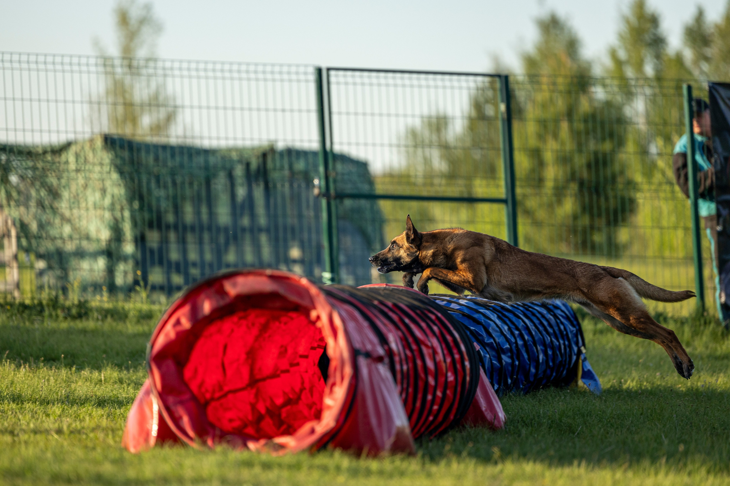 Испытания по мондьорингу в Нижнем Новгороде. Фотограф-анималист Анна Маринич
