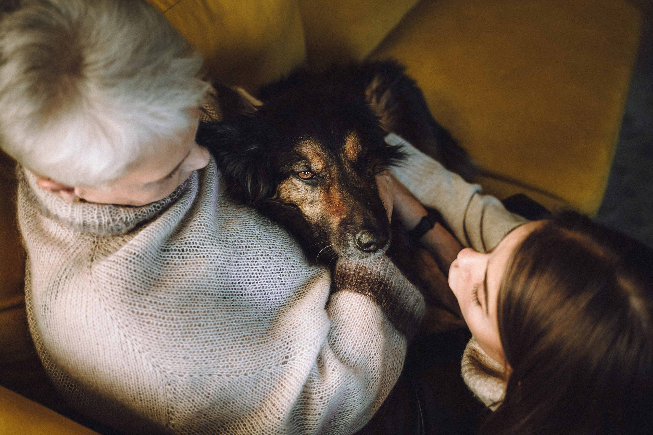 Плюш, Айса и их семья