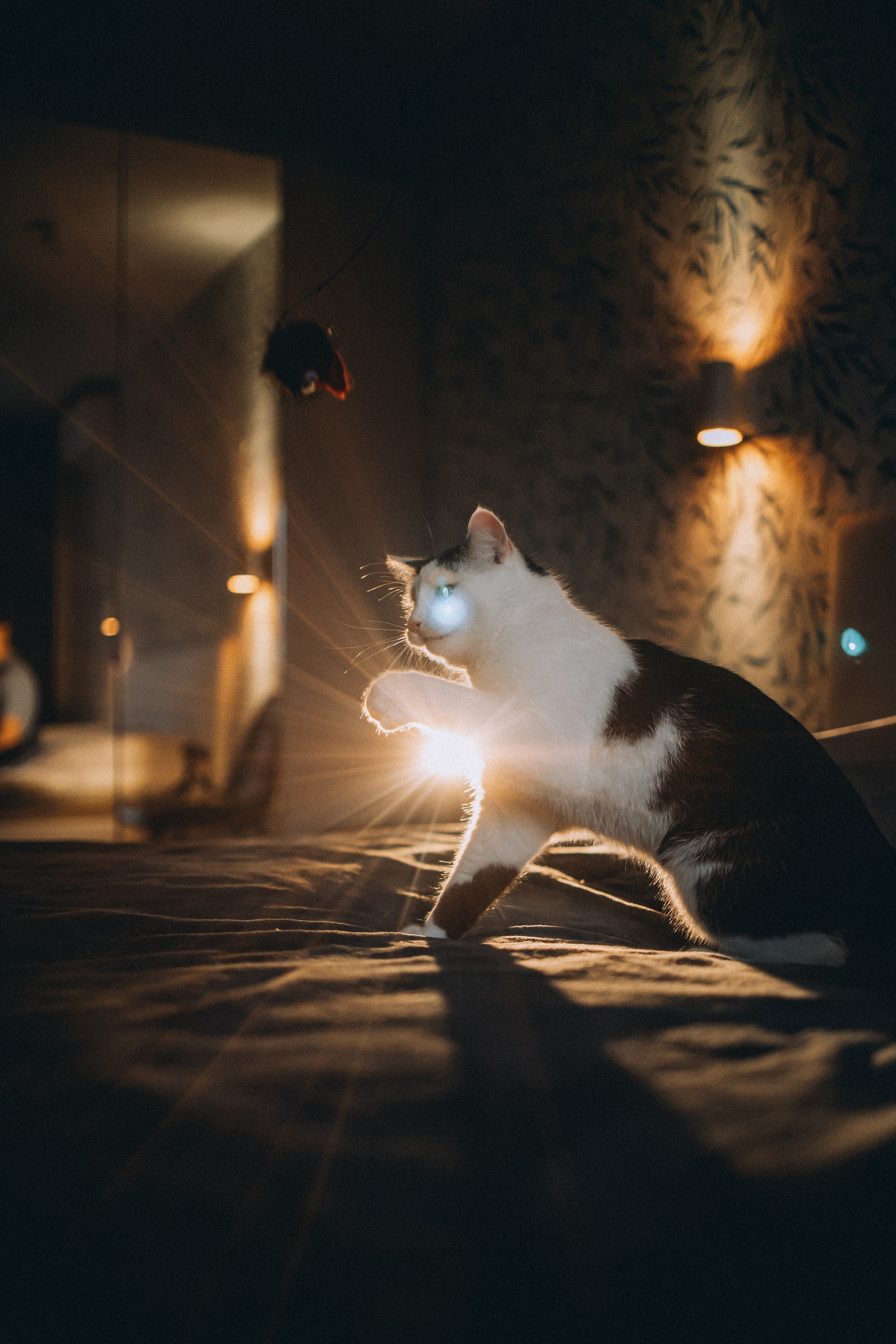 Рыся, Кепа и их семья