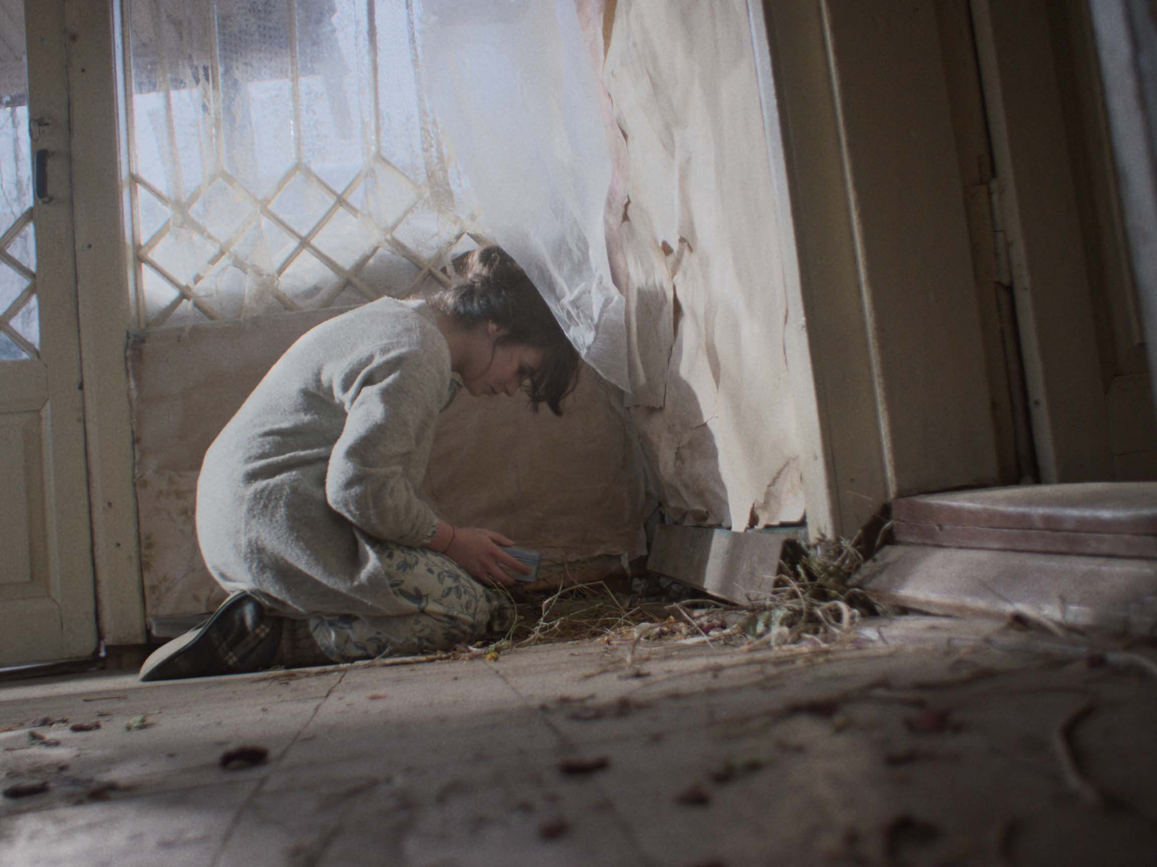 Розы Анны. Цветокоррекция видео