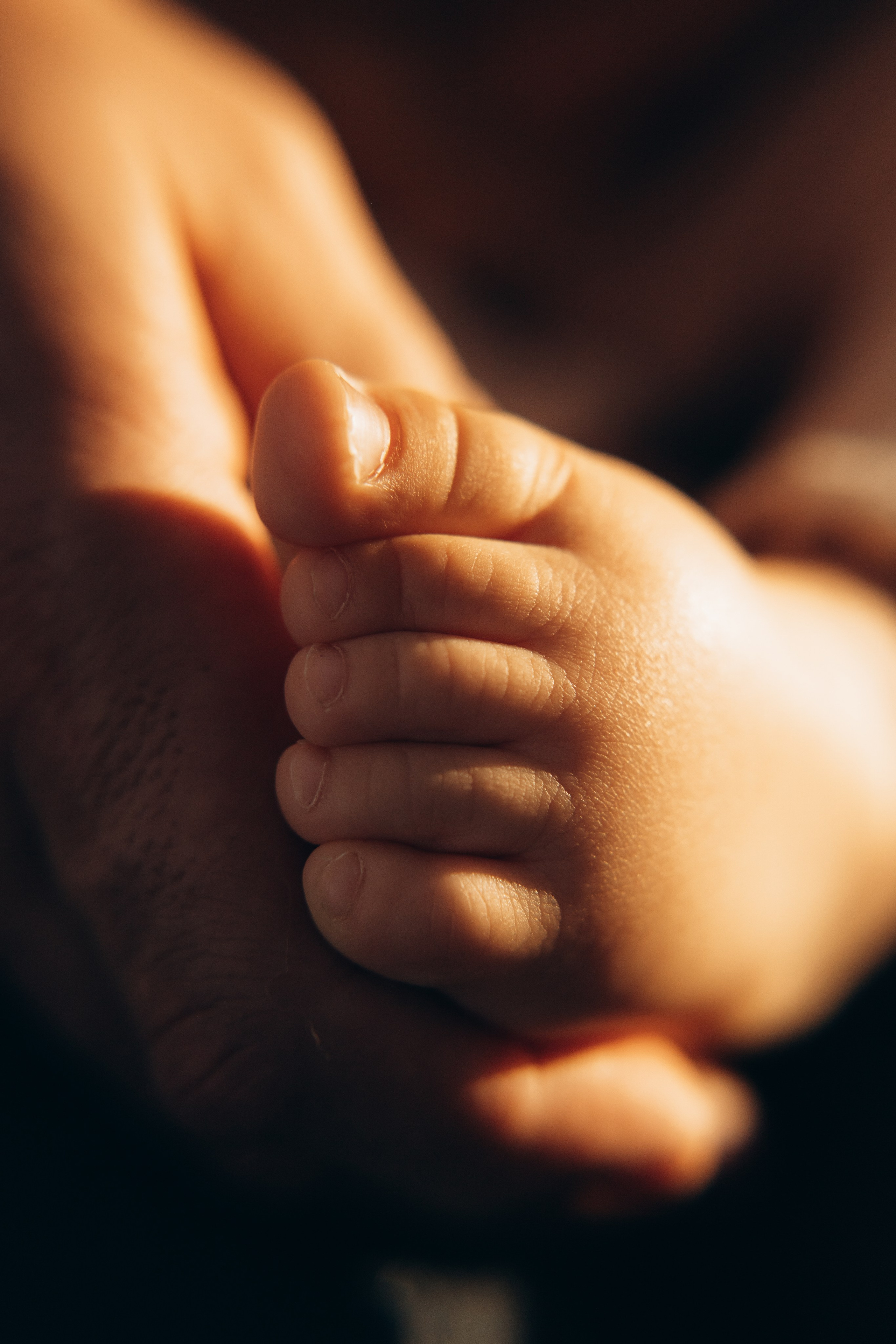 Семейная фотосессия в Твери. Newborn Фотограф в Твери