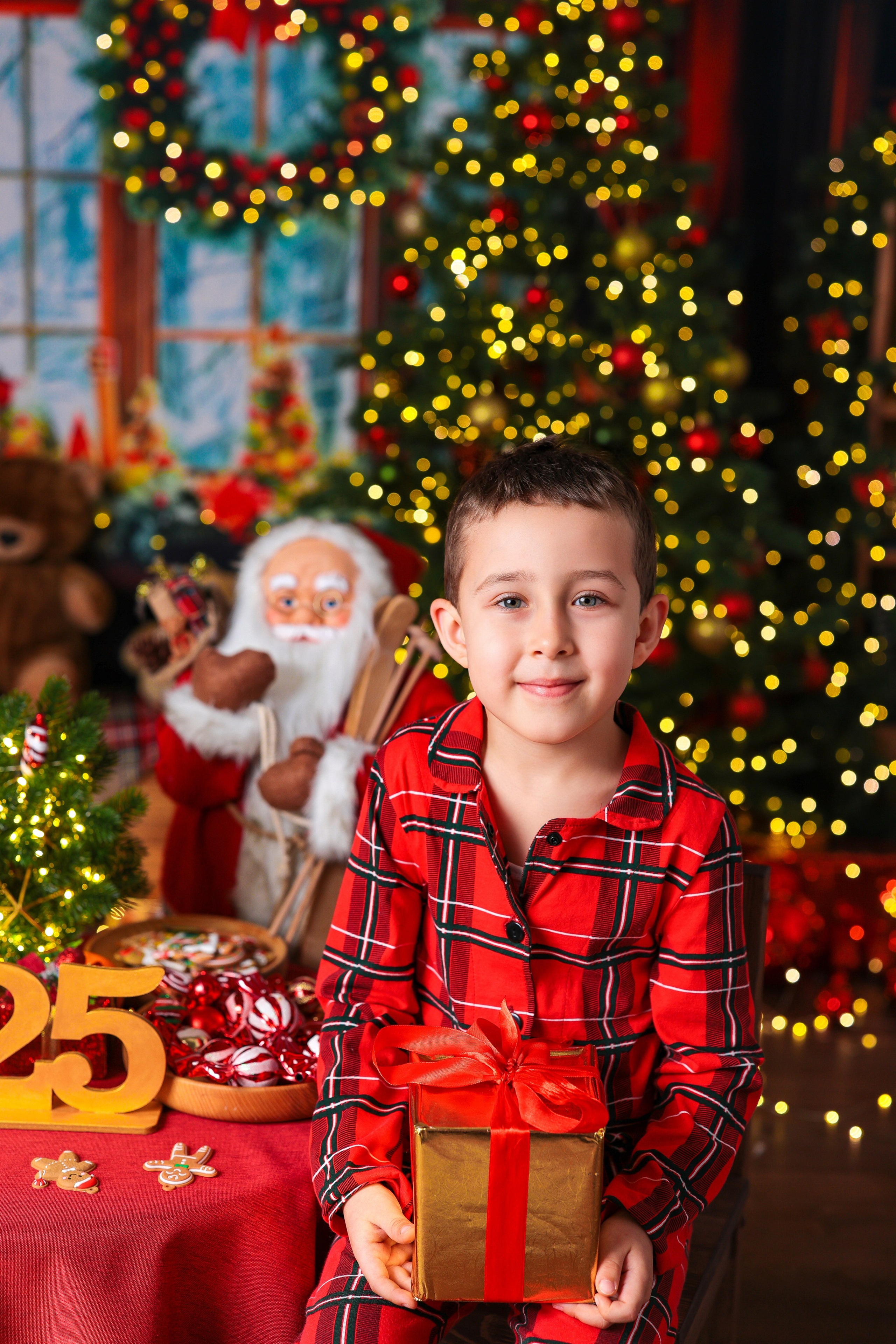 Антураж НОВЫЙ ГОД 2025