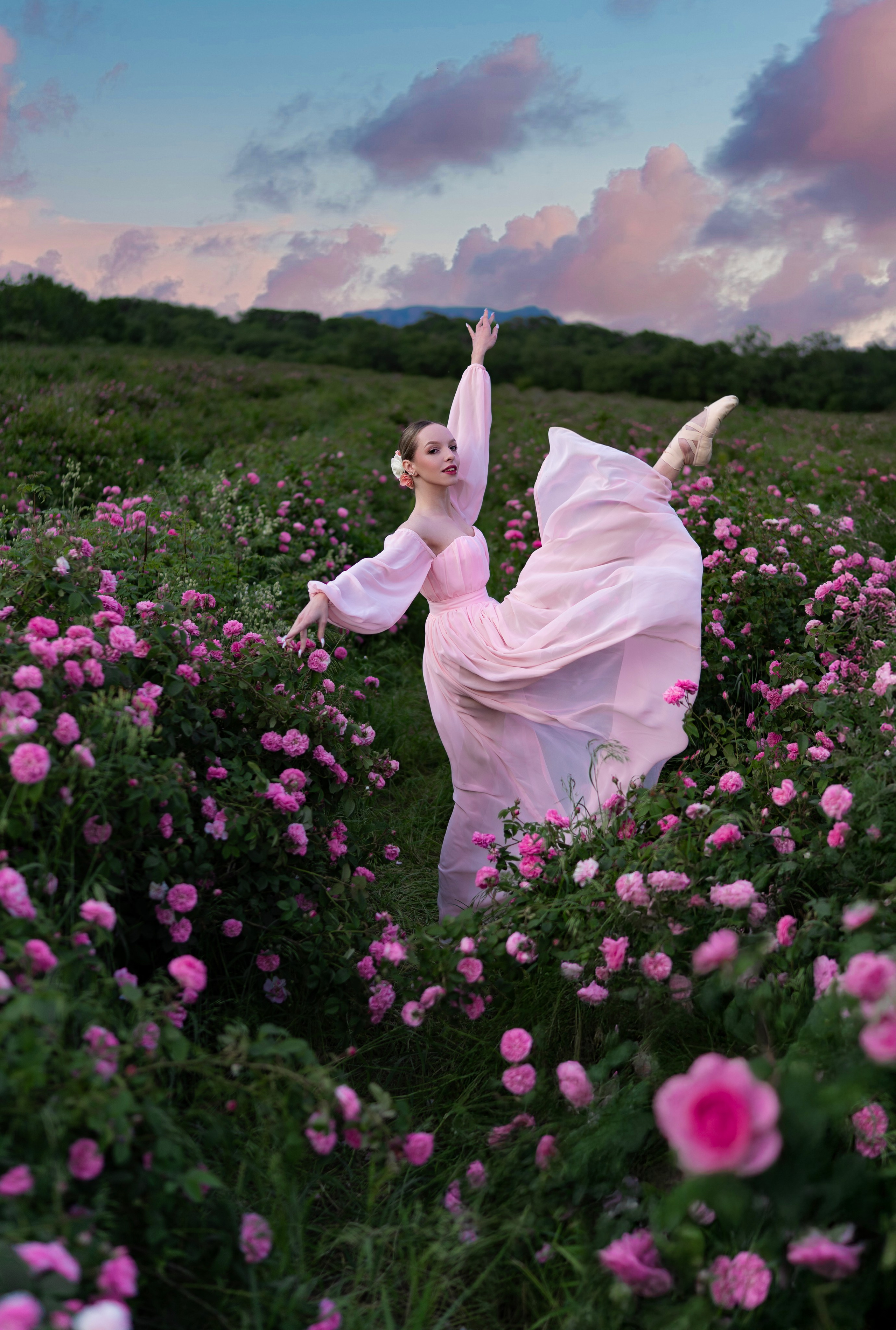 Розы. Фотограф в Крыму Лебедева Александра