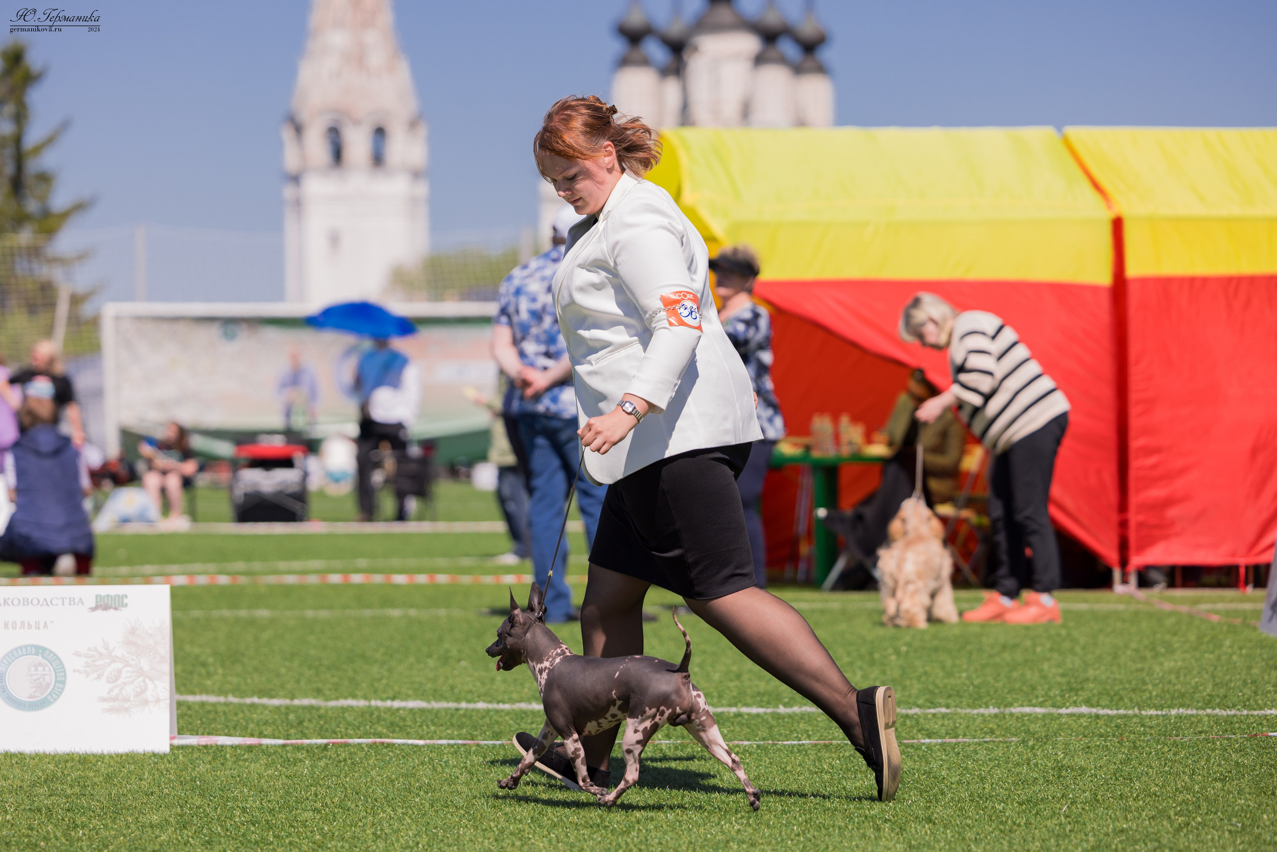Суздаль 18-19.05.2024. Фотограф-анималист Юлия Германика