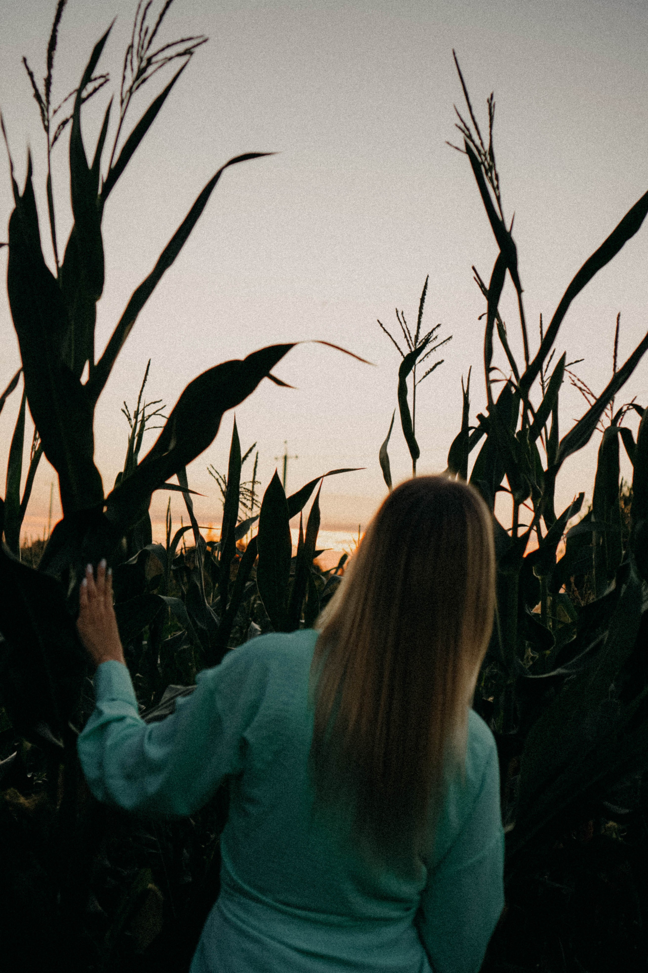Летний вечер. Профессиональный фотограф, Санкт-Петербург — Виктория Богомолова