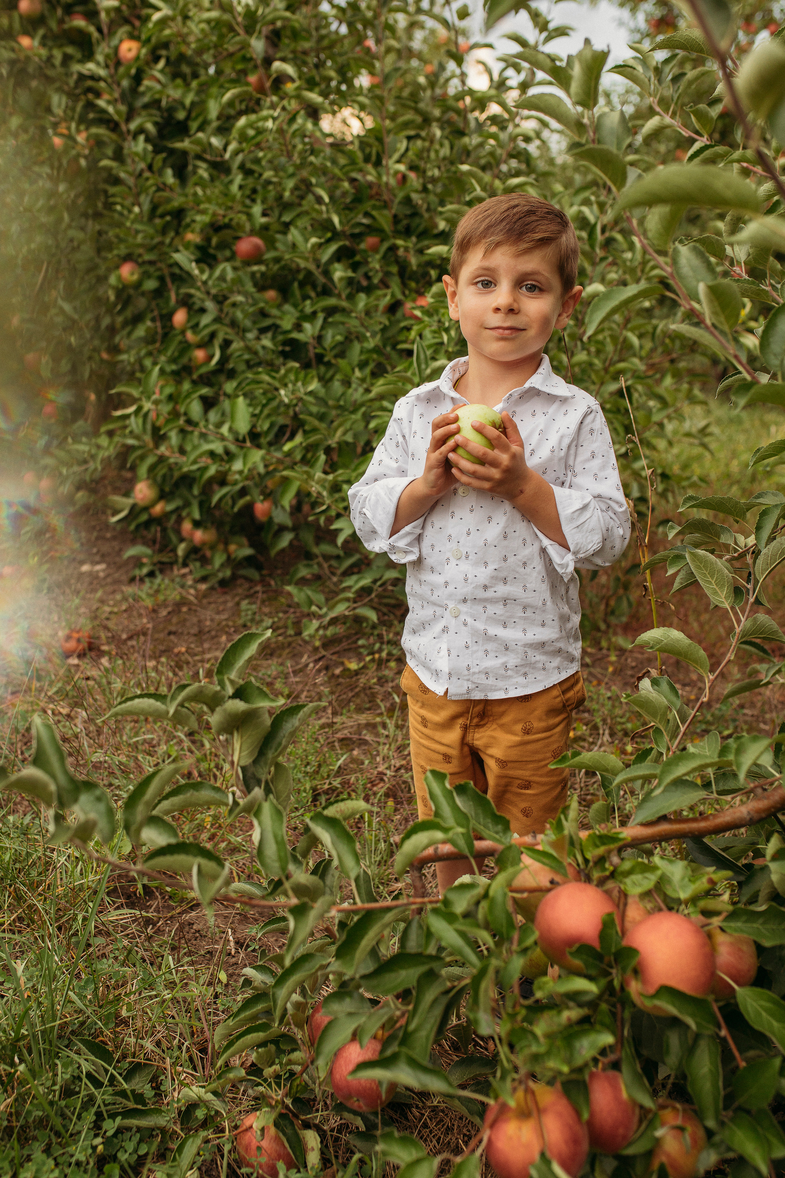 Саша Саша Даня. Семейный фотограф в Краснодаре Коломыцева Евгения