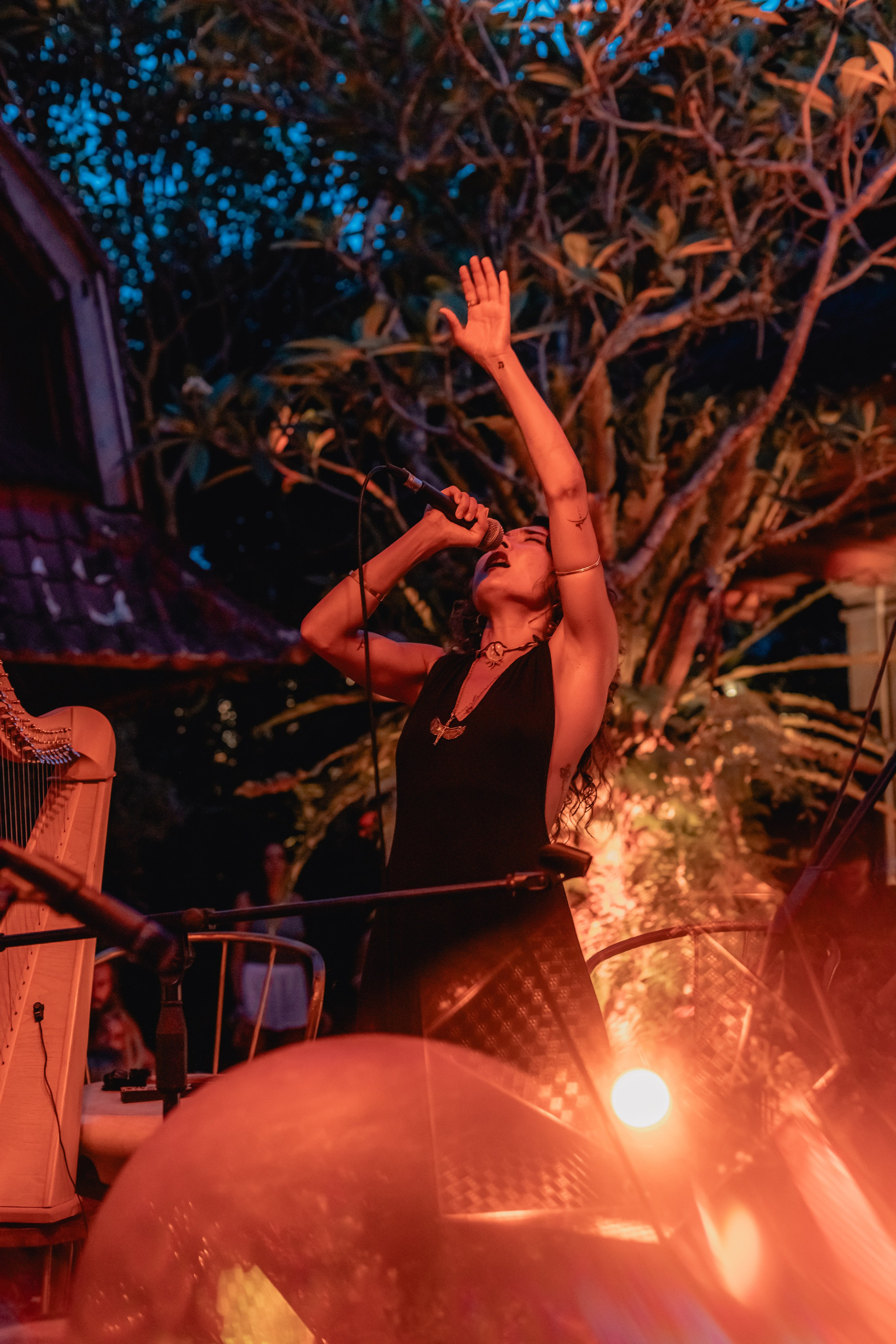 Alegria festival at Zest. Мариам Багдасарян