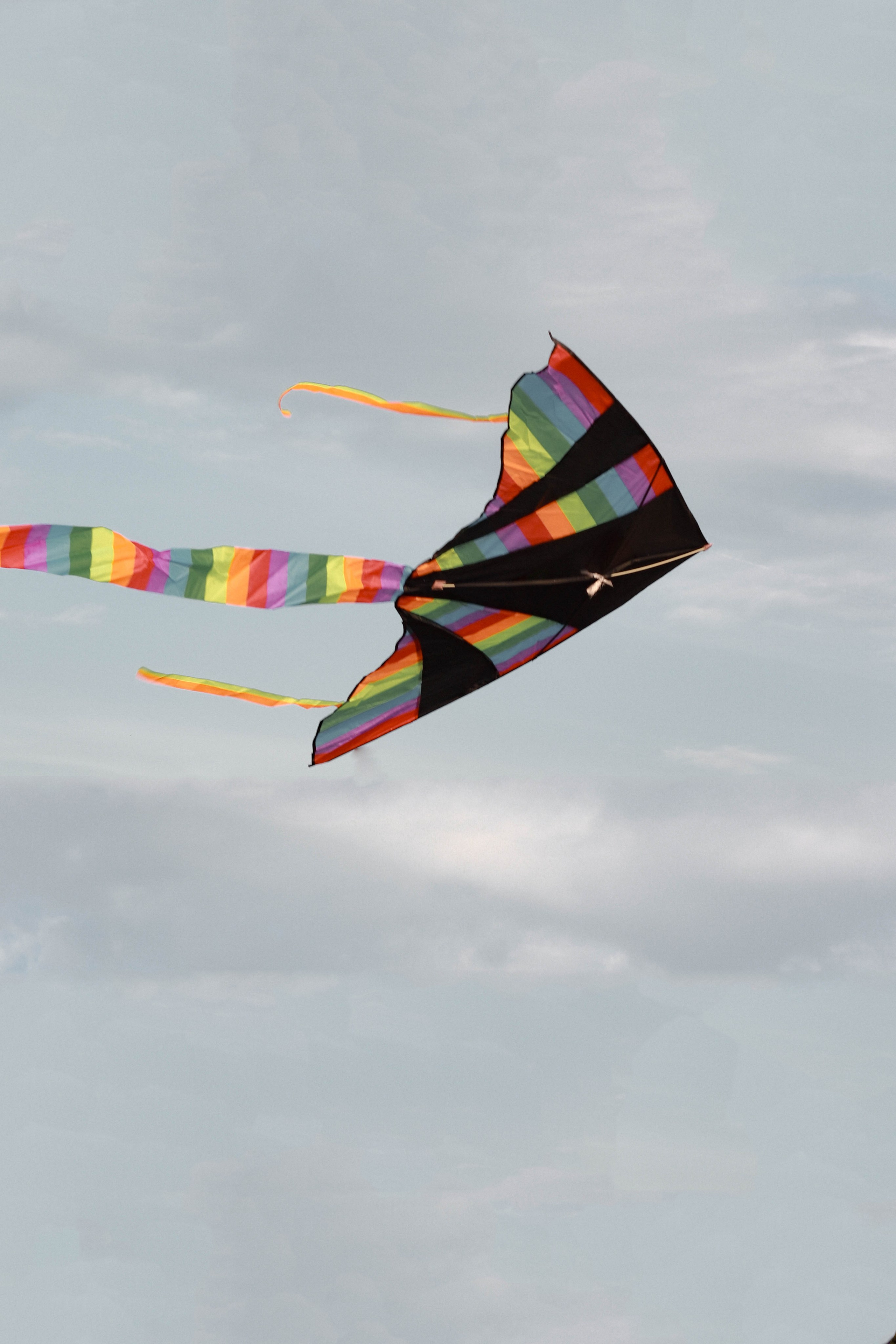 Воздушный змей. Фотограф Анна Никитина | Йошкар-Ола