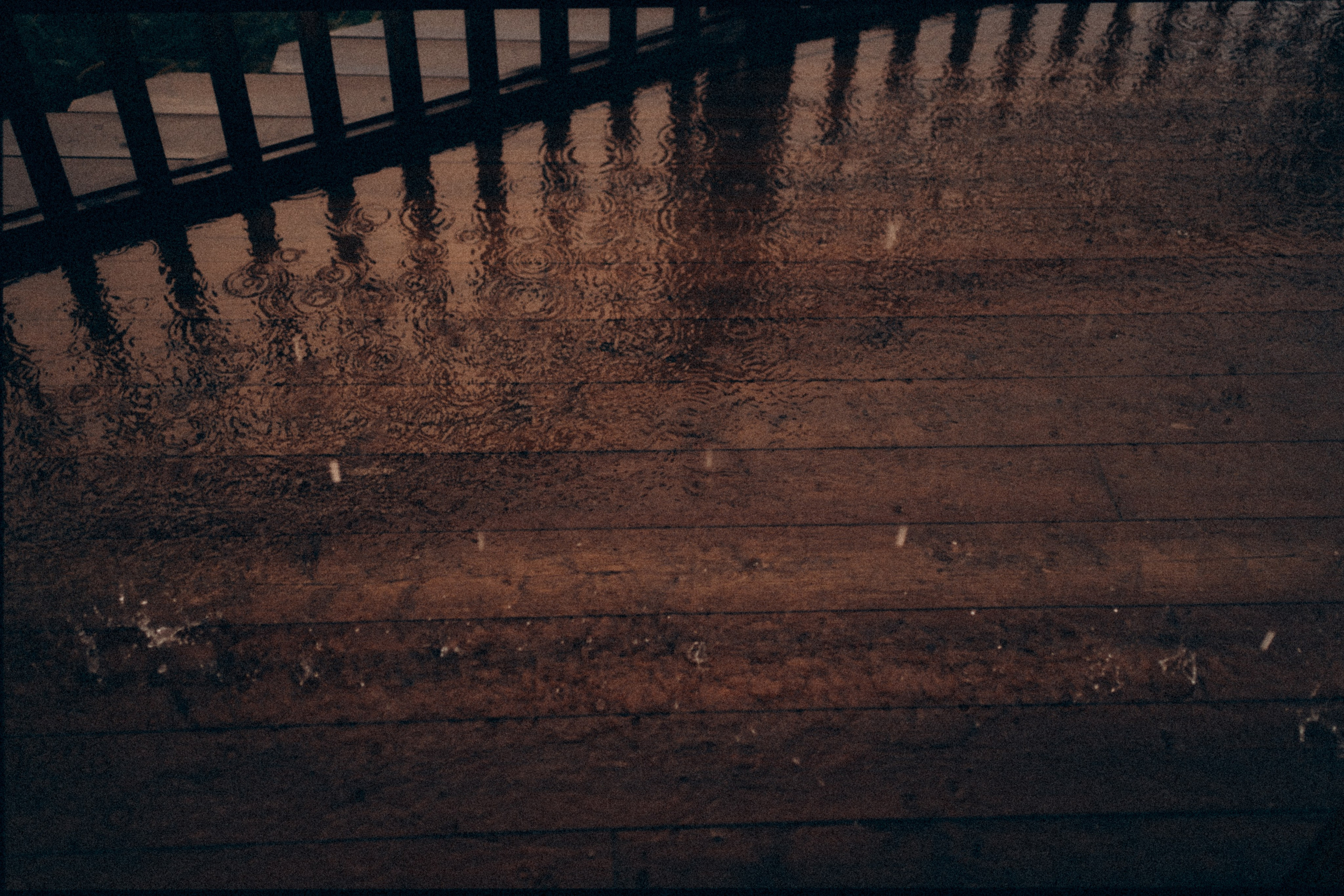 Алексей и Яна. Фотограф Ксения Калюжная