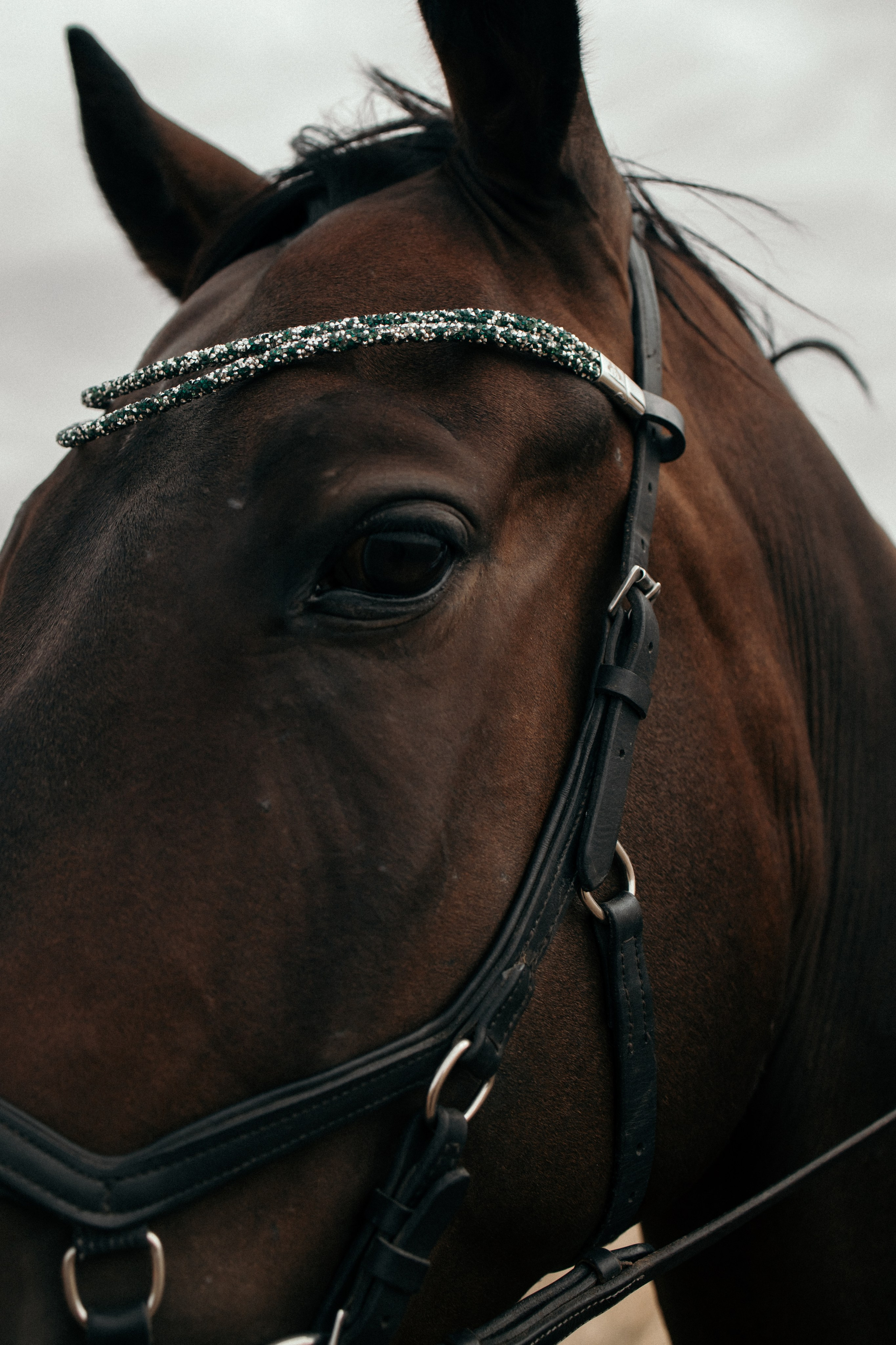 Вика и Стратег. Свадебный и прогулочный фотограф в Санкт-Петербурге Дарья Корель