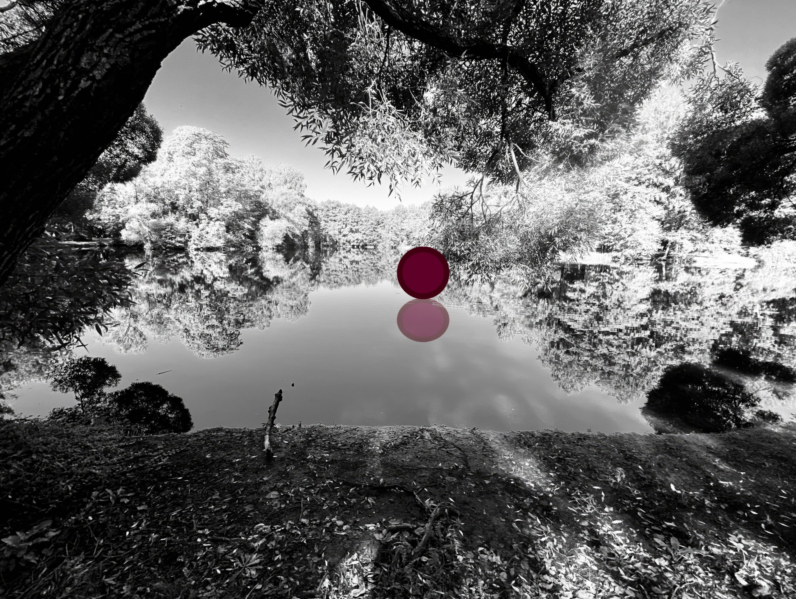 Испорченные фотографии — авторская серия Ма. Ма