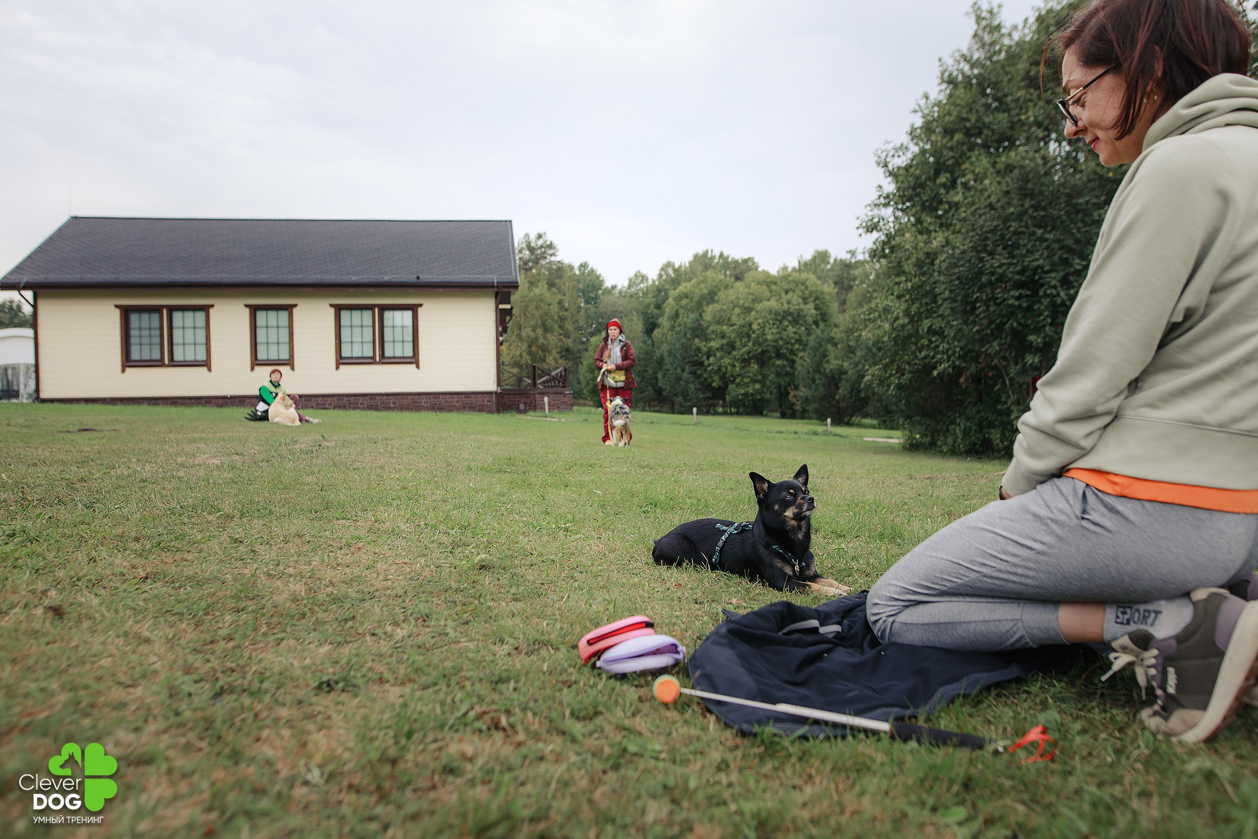 Кинологический лагерь CleverDog, 2024. Фотограф-анималист Mary Mart — Москва, Питер